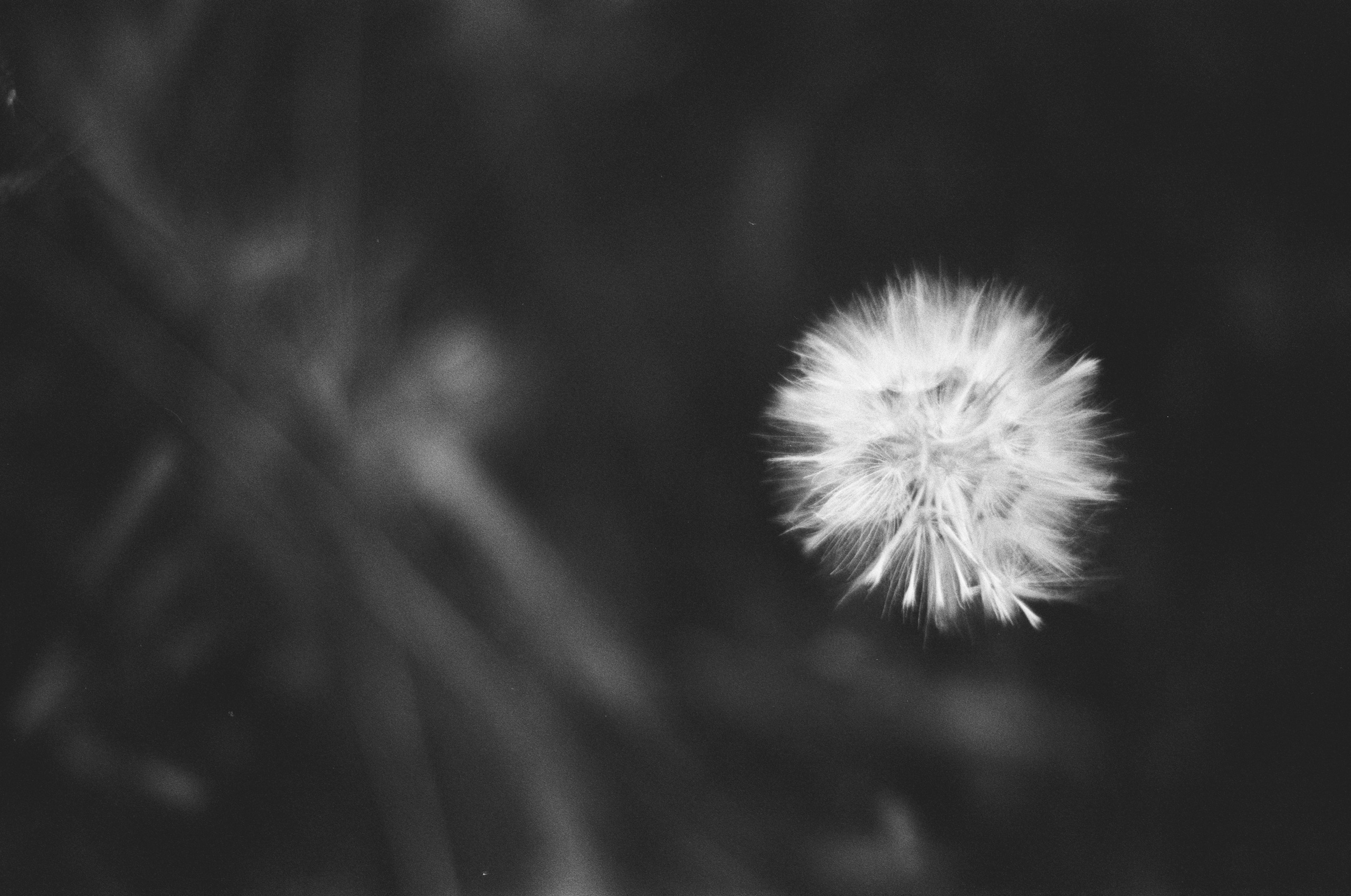 Move me // ukraine, crimea II. EVER EXPOSED