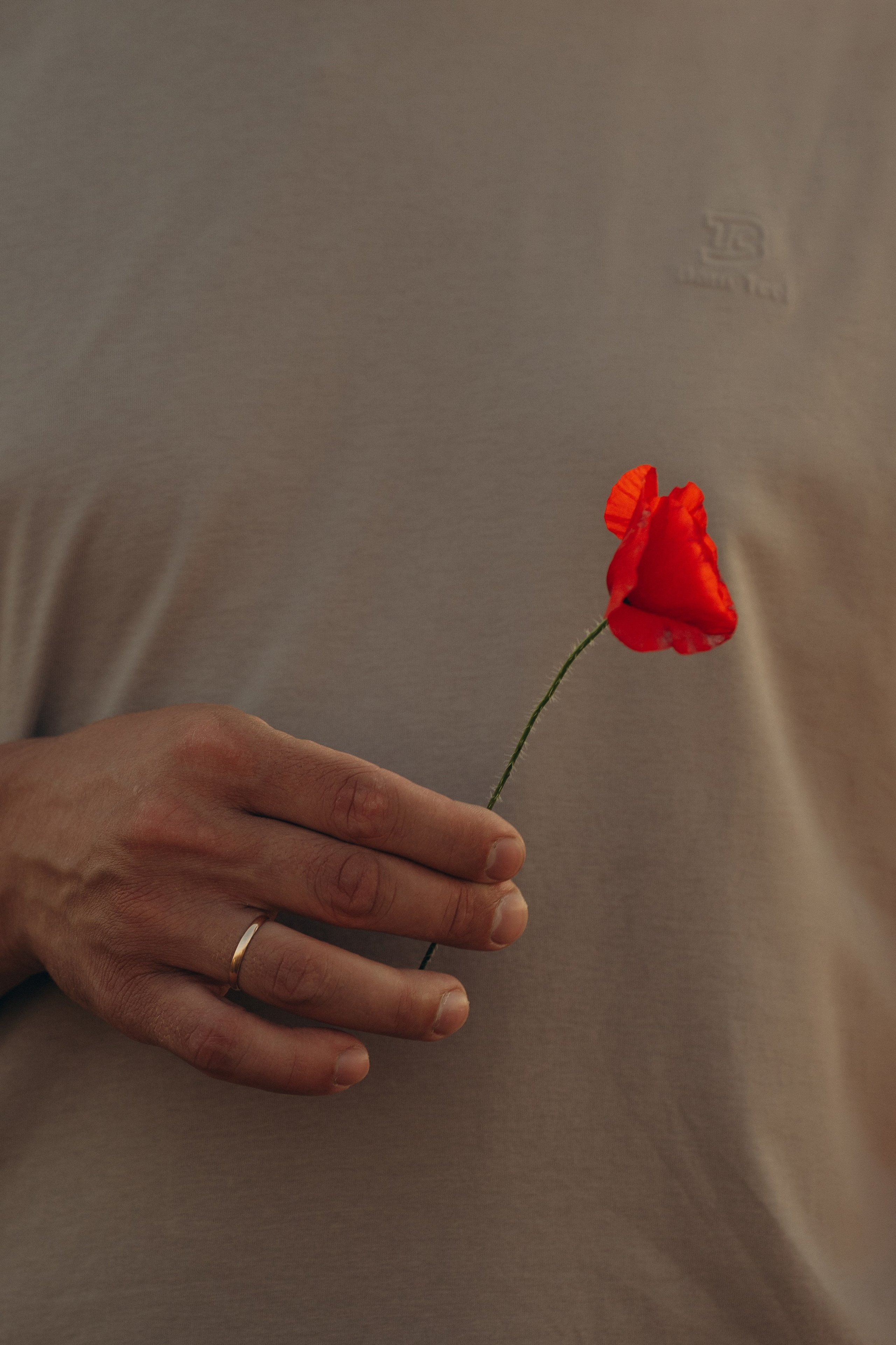 Ваша семья в живописных локациях: Абрау-Дюрсо, Новороссийск, Кучугуры, Голубицкая