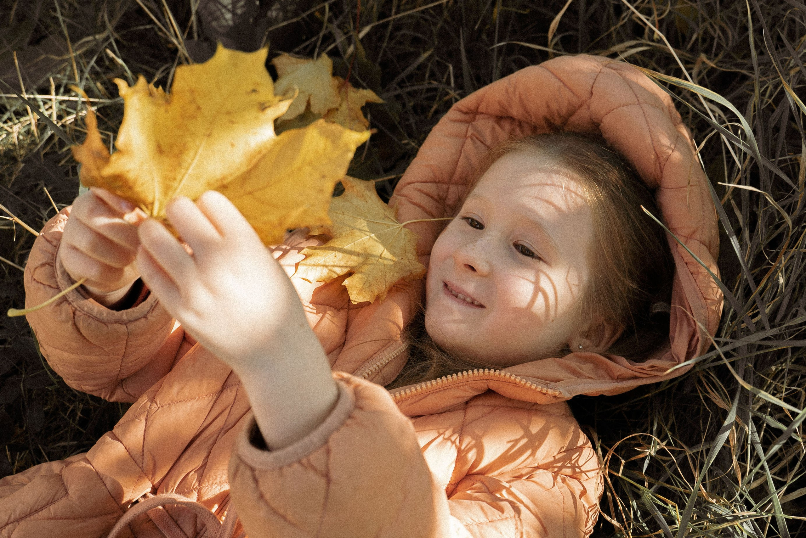 Золотая осень. Видеограф Осинина Татьяна — видеосъемка в Москве