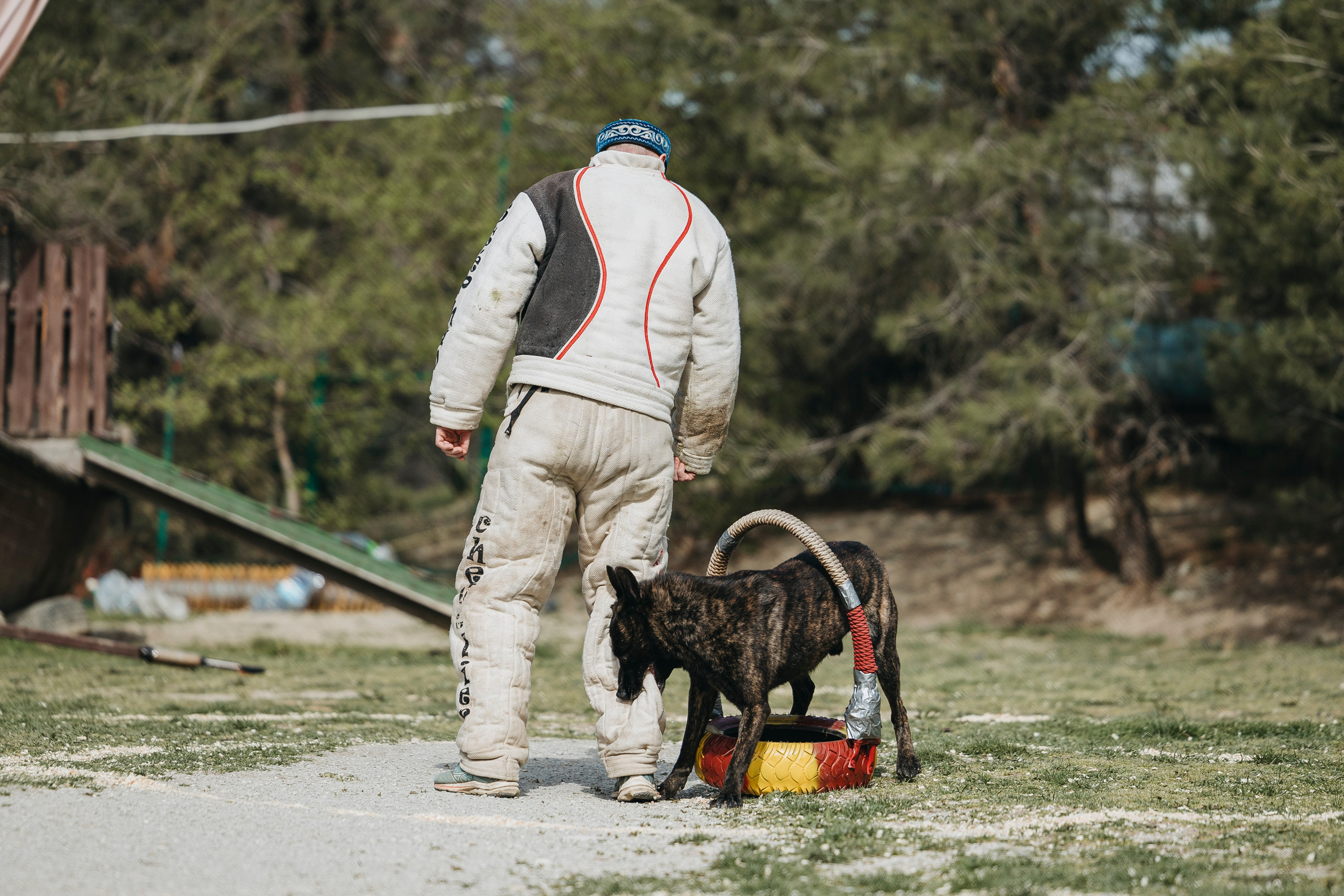 Геленджик Мондьоринг. Фотограф-анималист Анна Маринич