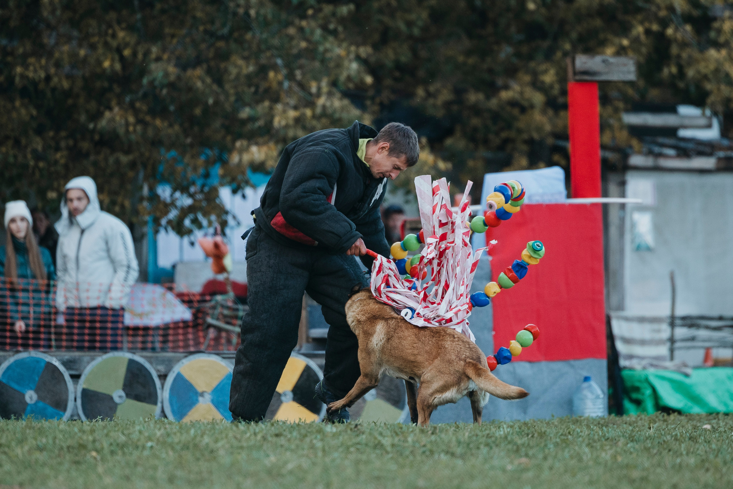 Испытания по мондьорингу г. Пушкин 29.09.2024. Фотограф-анималист Анна Маринич