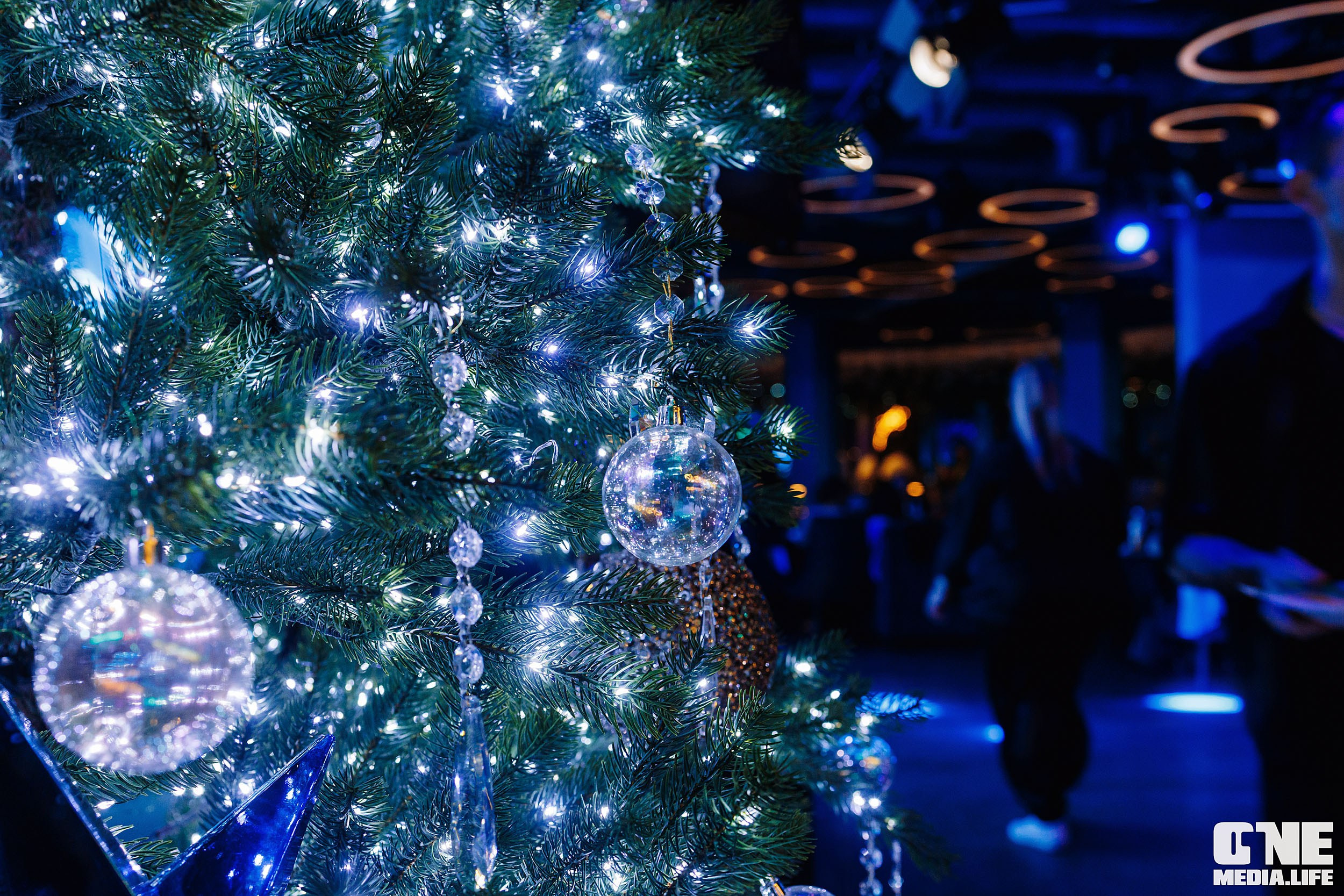 Фоторепортаж из ресторана Океан. One Media Life: фоторепортажи, фотоотчеты с мероприятий и заведений