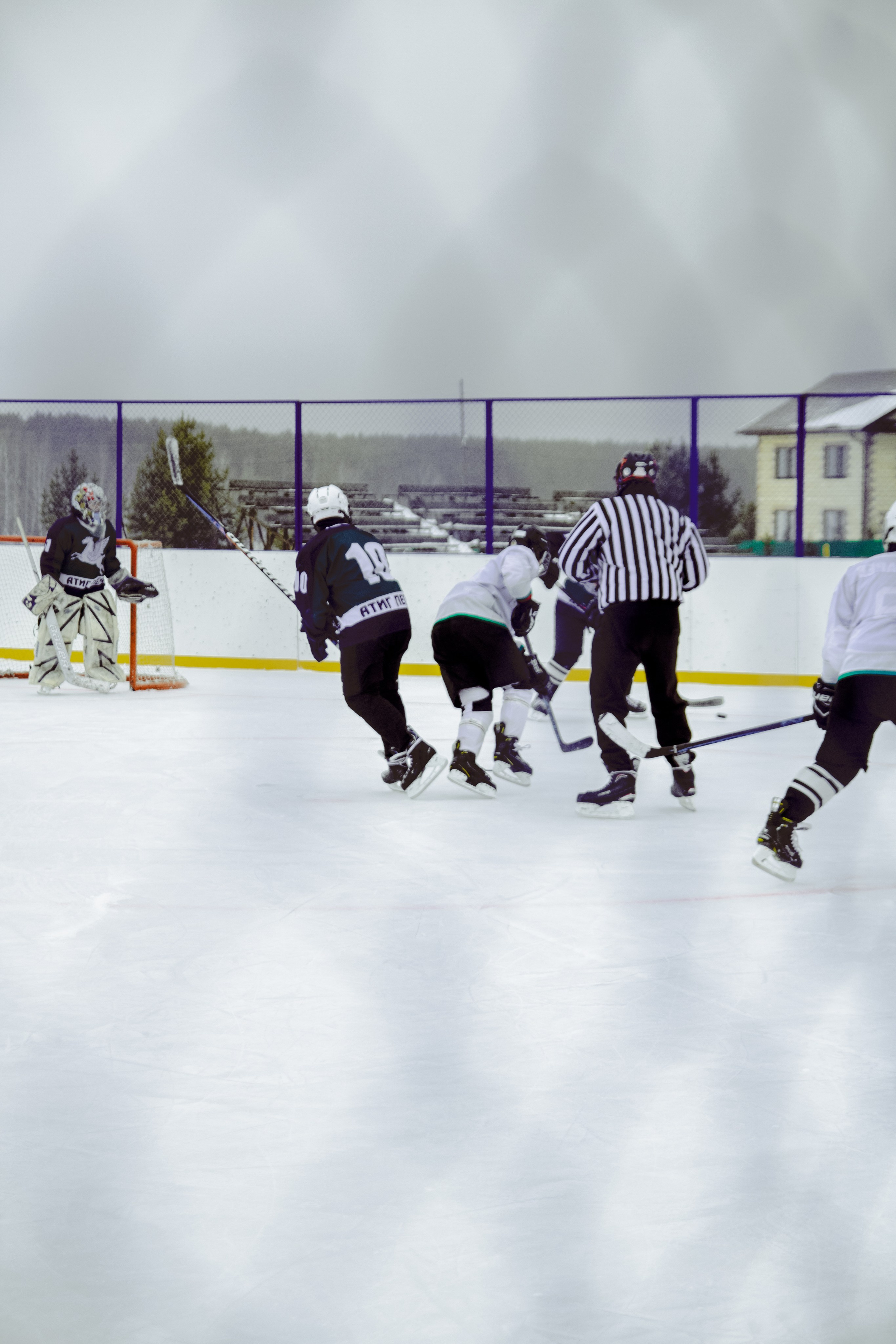 Хоккей 29.12.2024