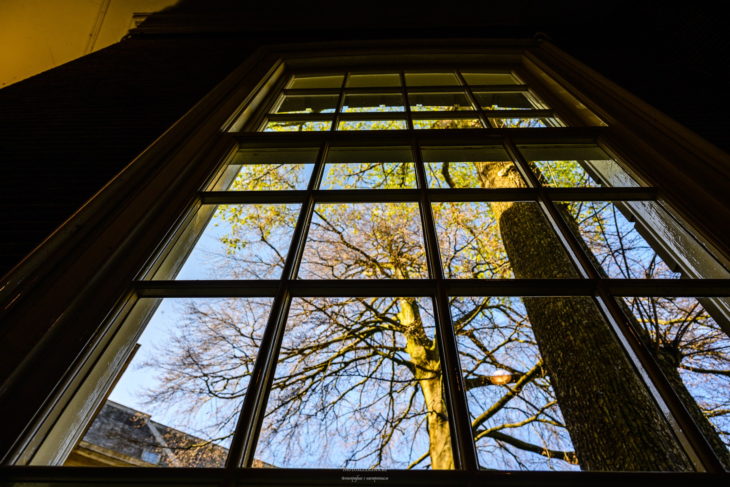 И это всё о нём. Авторские стильные фотокартины