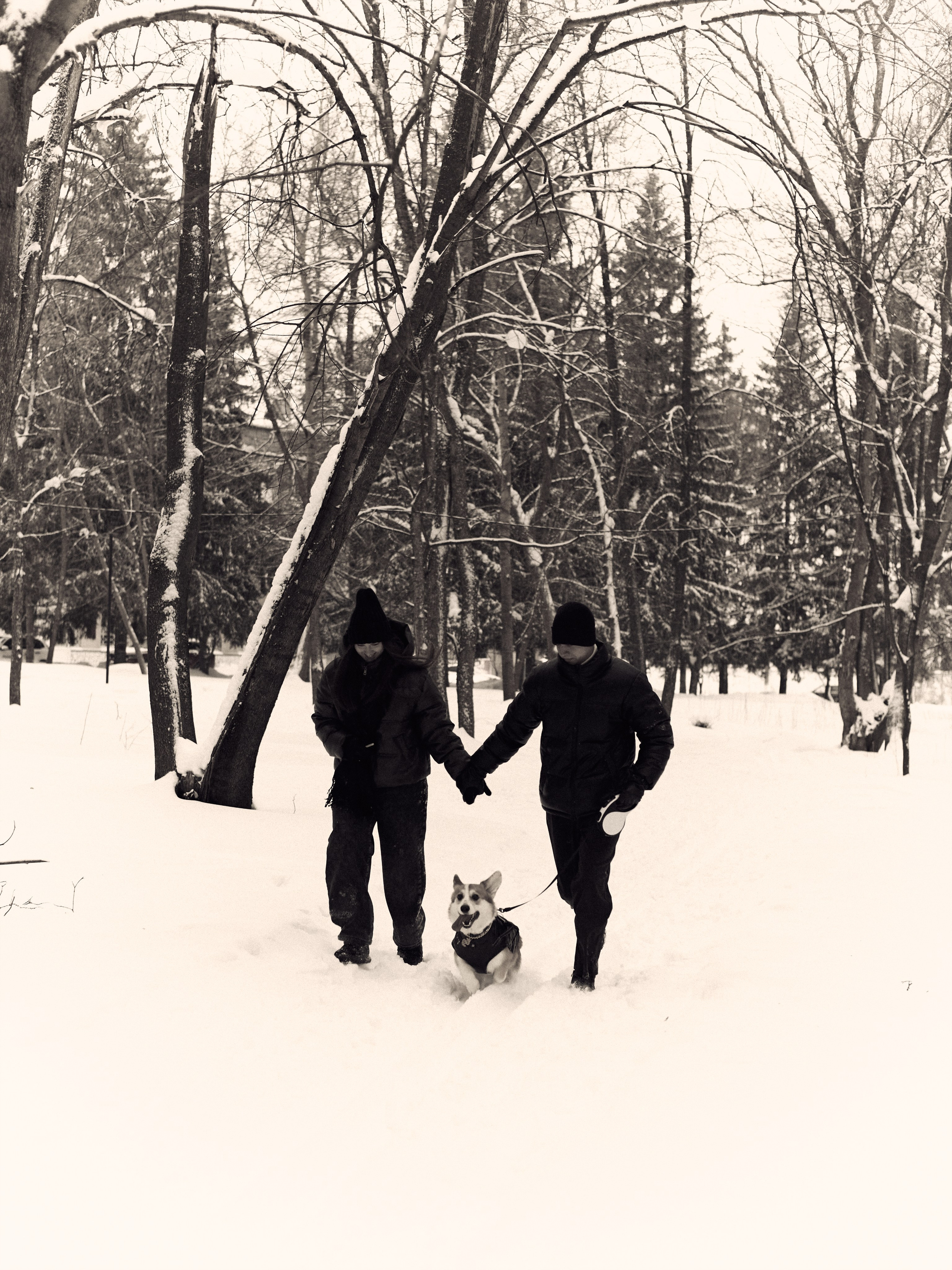 Арина и Динар малыш Рич. Фотограф и видеограф в Бугульме Аня Трутнева