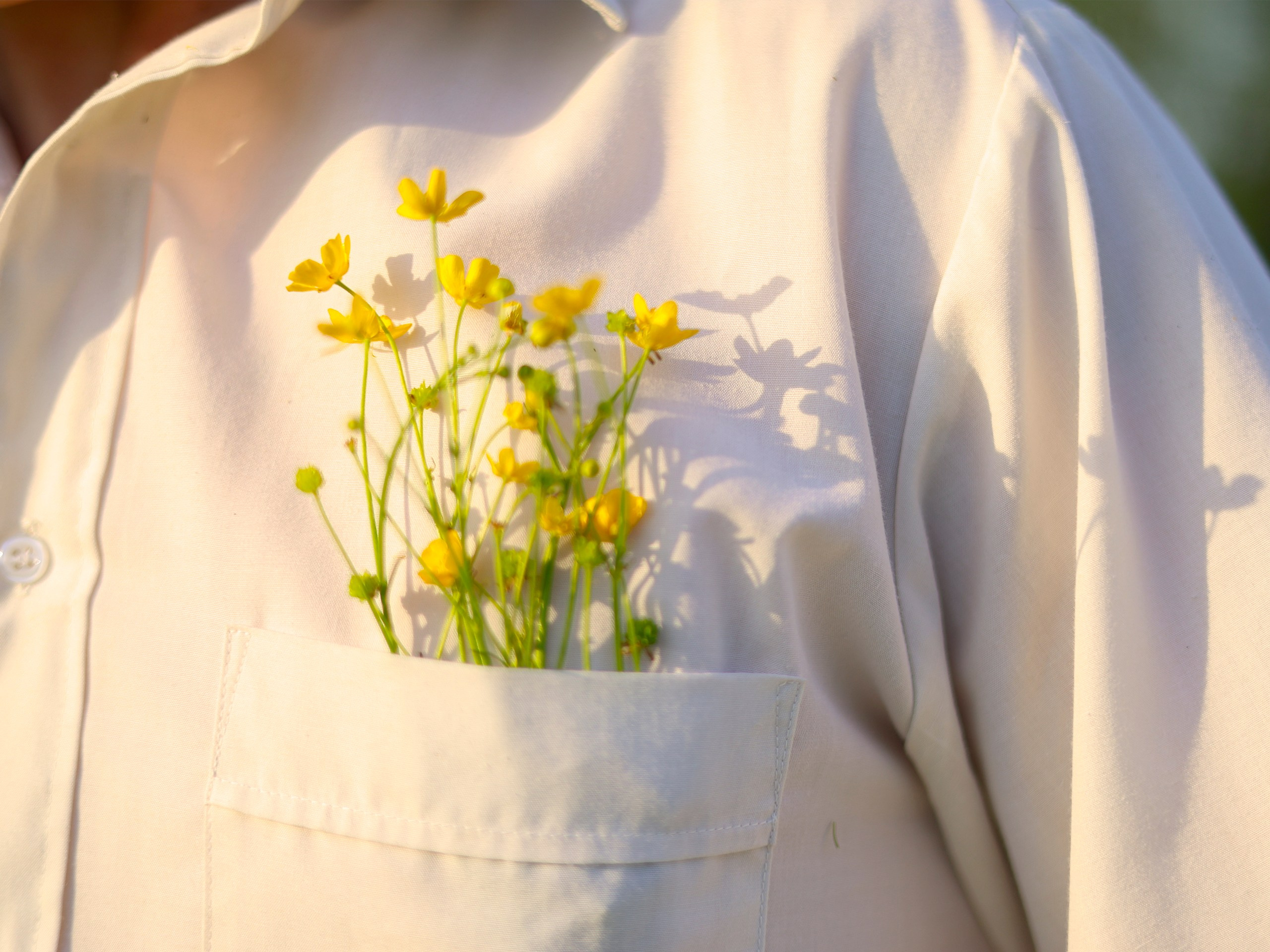 Фотограф | Видеограф в Кургане, Тюмени и Челябинске