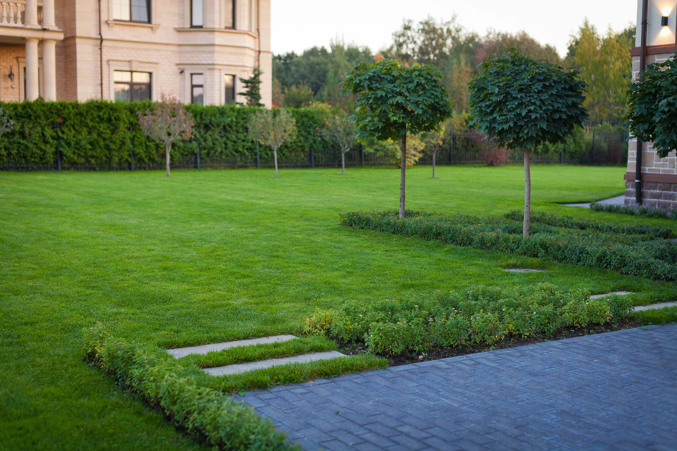 Ландшафт. Новый год 2026