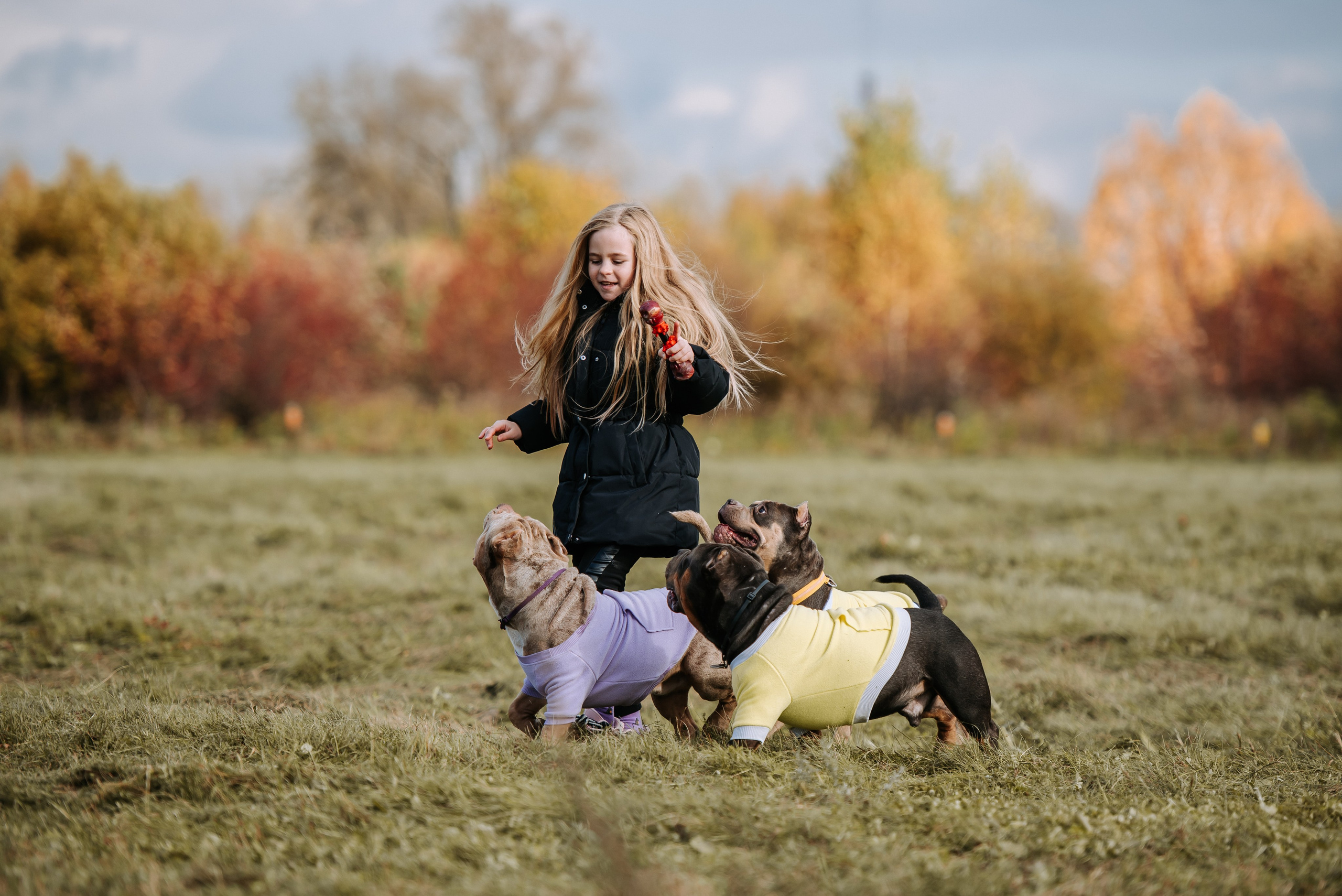 Фотопрогулка с питомцами. Фотограф Диана Оленина Красноярск / Братск
