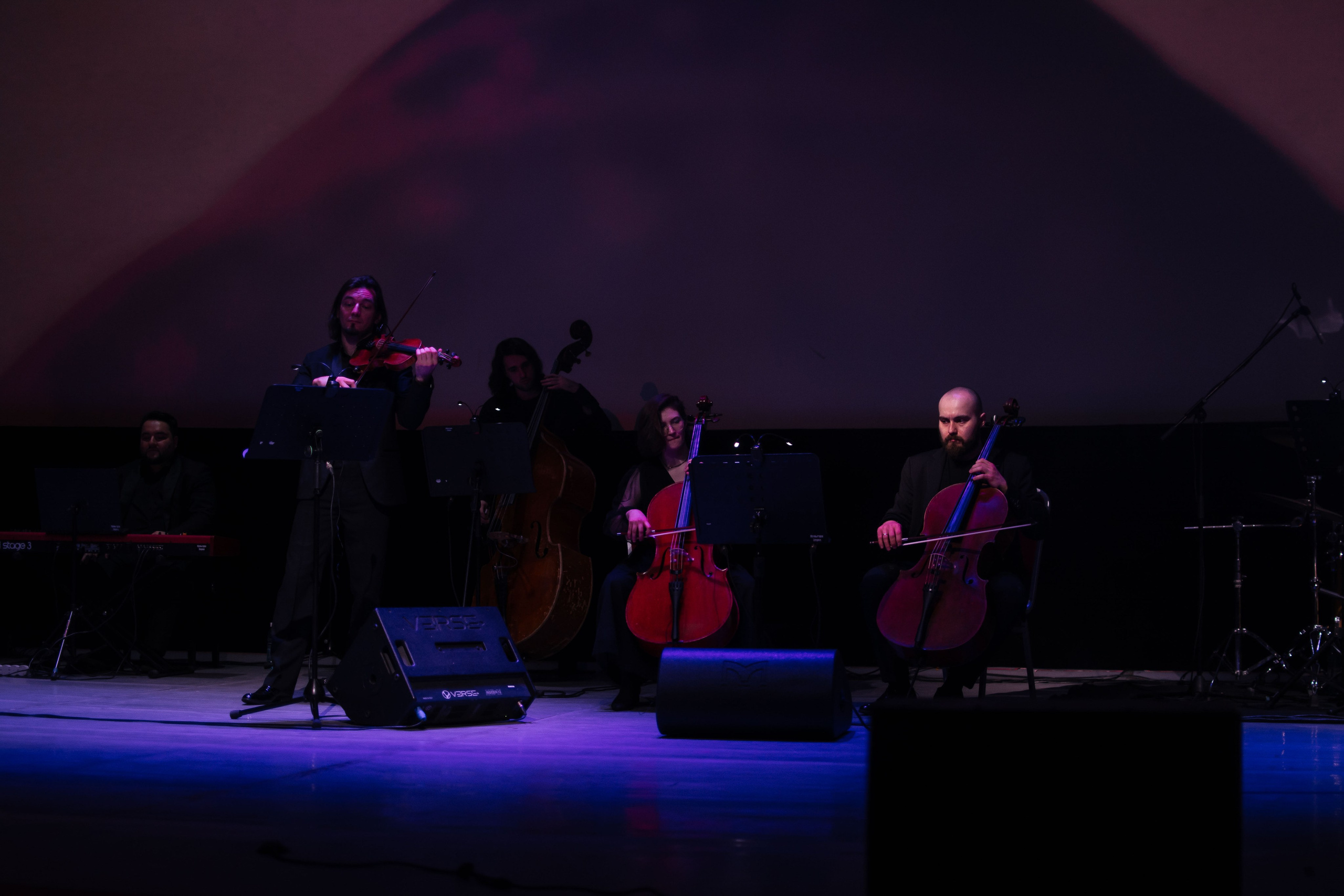 Концерт оркестра Cinematica. Репортажный фотограф в Новосибирске