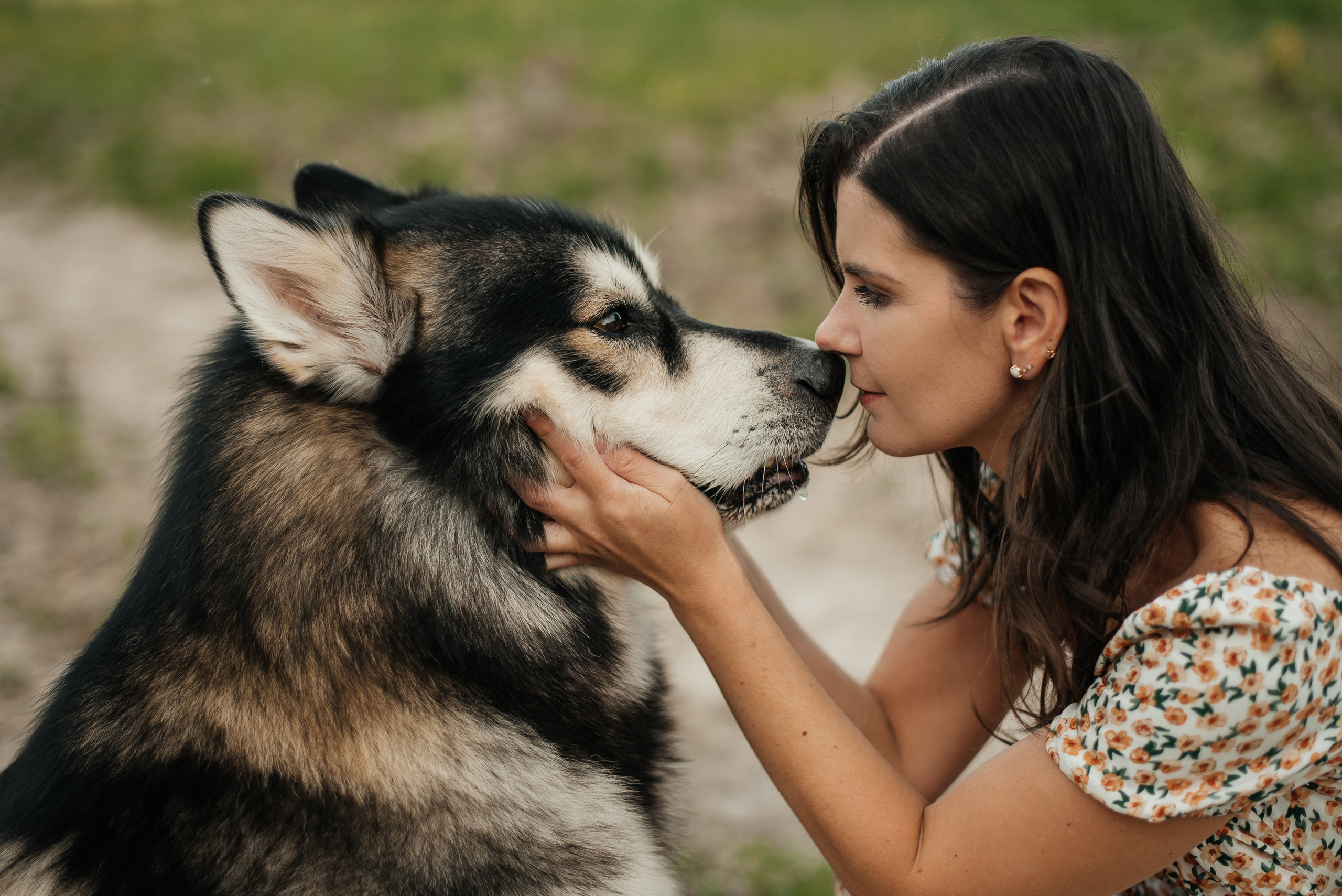 Отзывы. Фотограф Мария Орлова (Мирный, Плесецк, Каргополь)