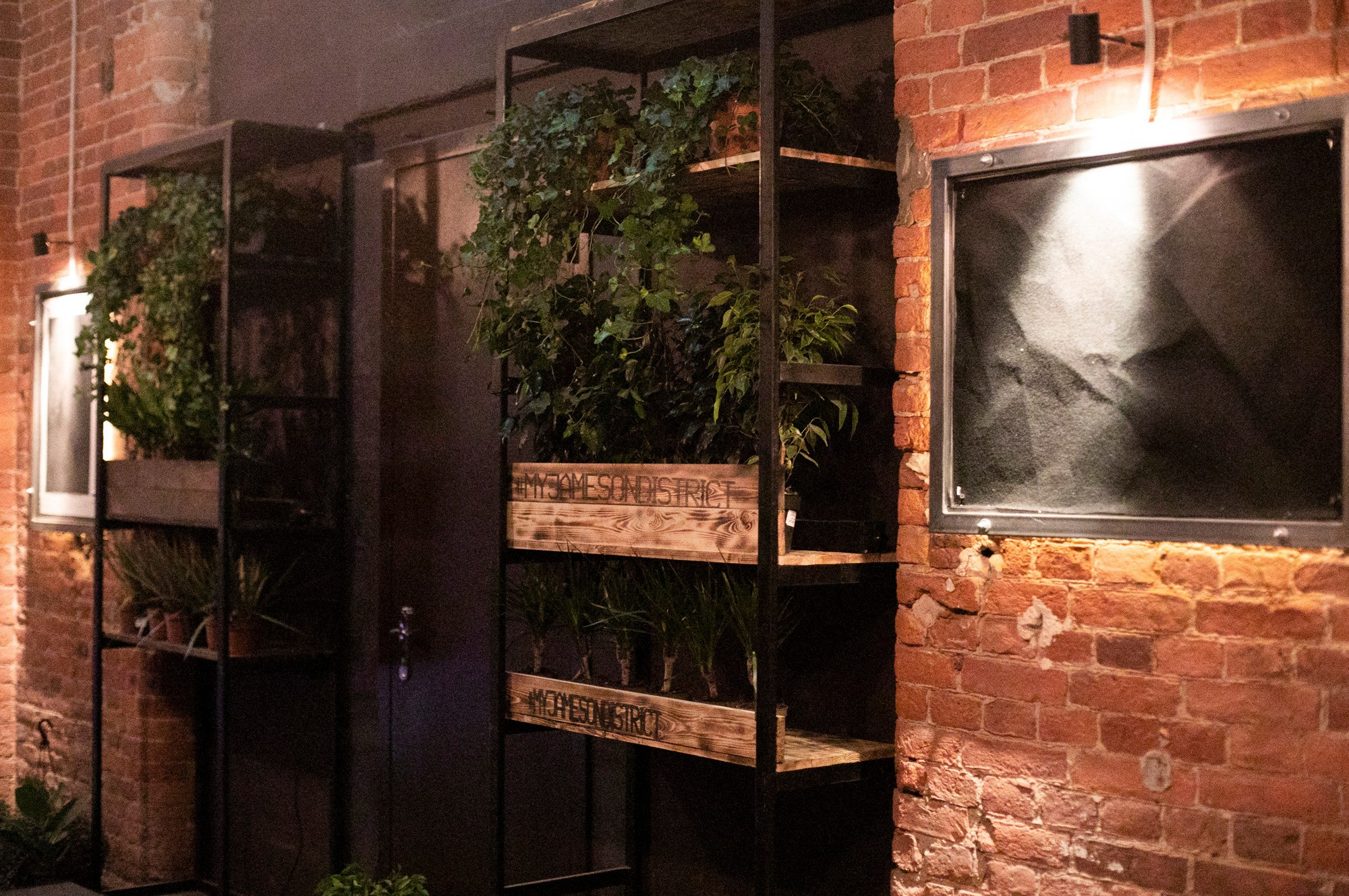 Jameson blockparty Санкт-Петербург. Репортажный и постановочный Наталья Санникова