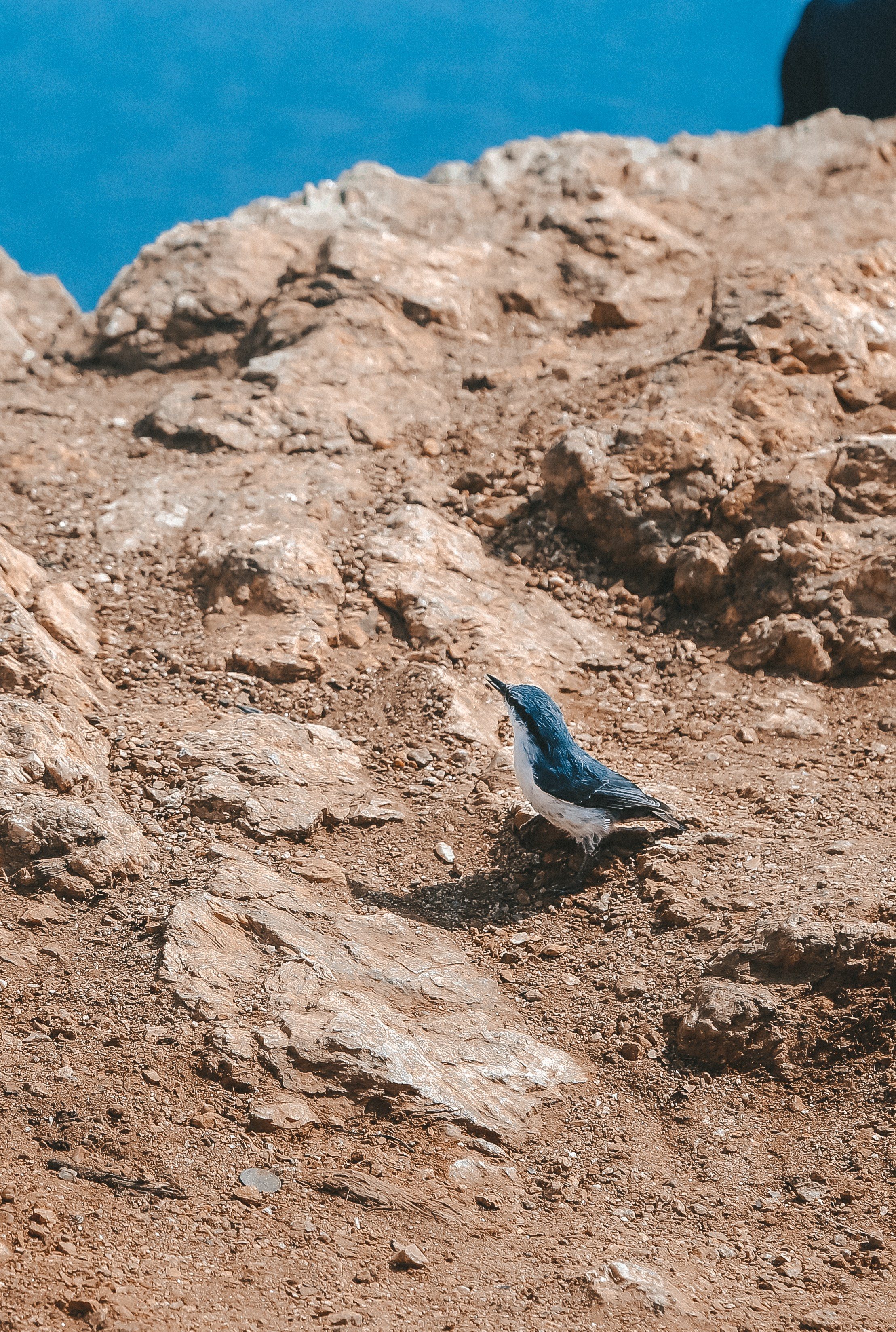 Байкал летний: легенды и святыни. Дарья Письменюк / Darya Leitstern — фотограф, музыкант, журналист, путешественник