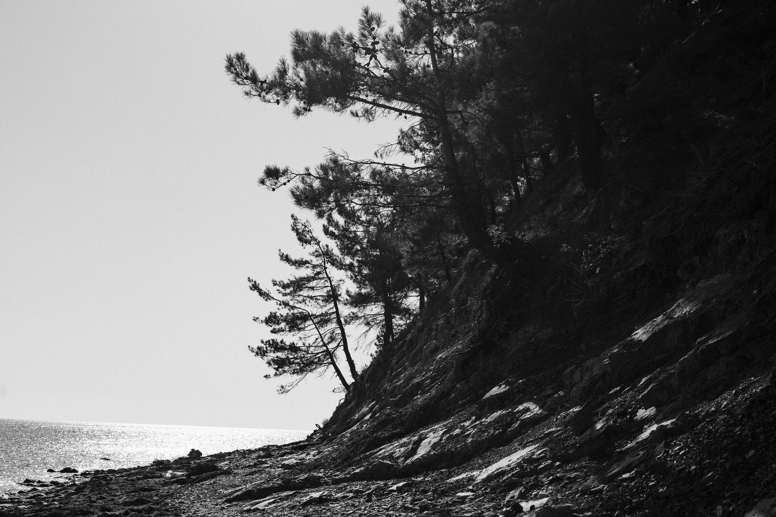 Поля. Семейный и свадебный фотограф в Краснодаре Елизавета Замаева