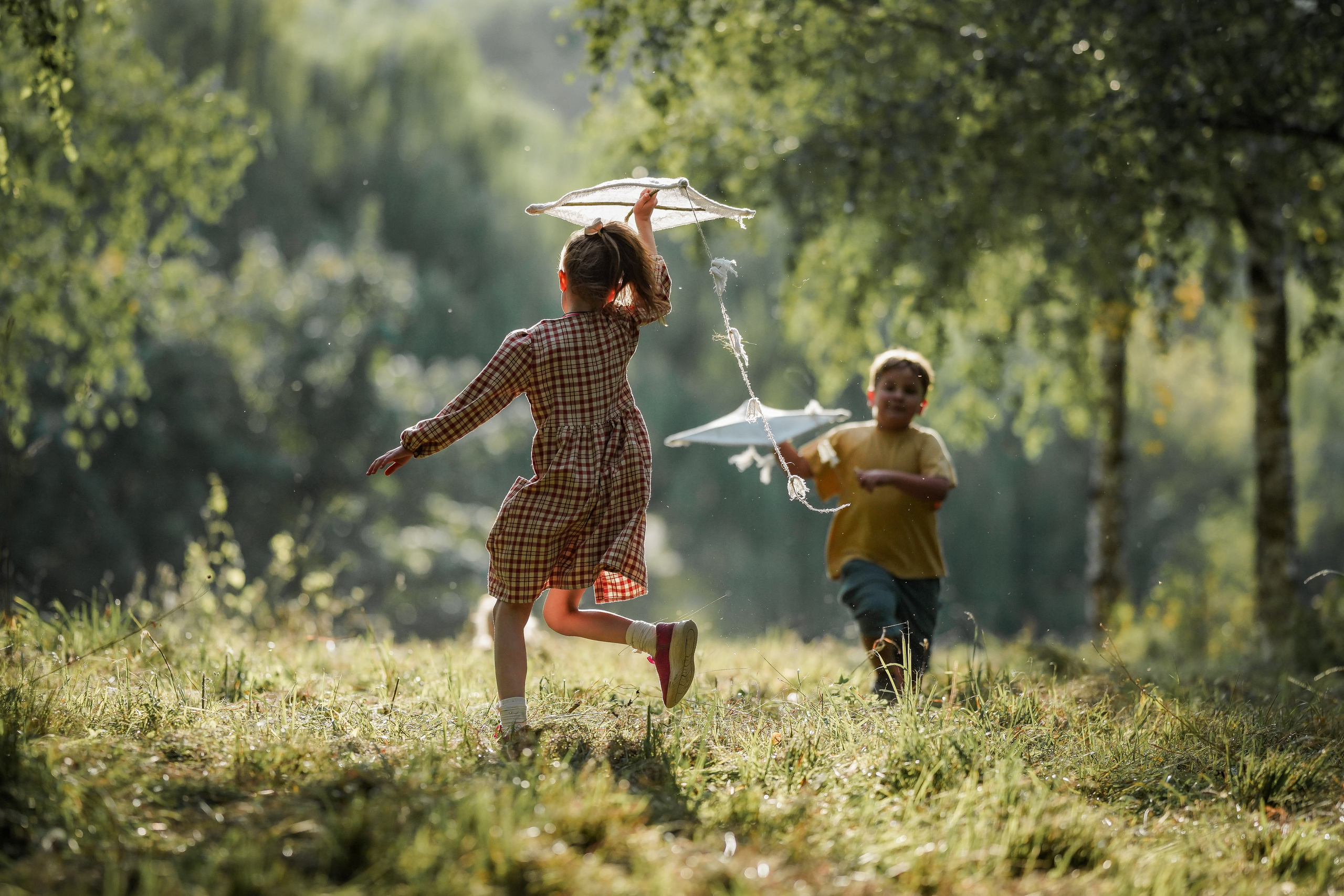 Воздушный змей. Семейный фотограф Ефремова Виктория