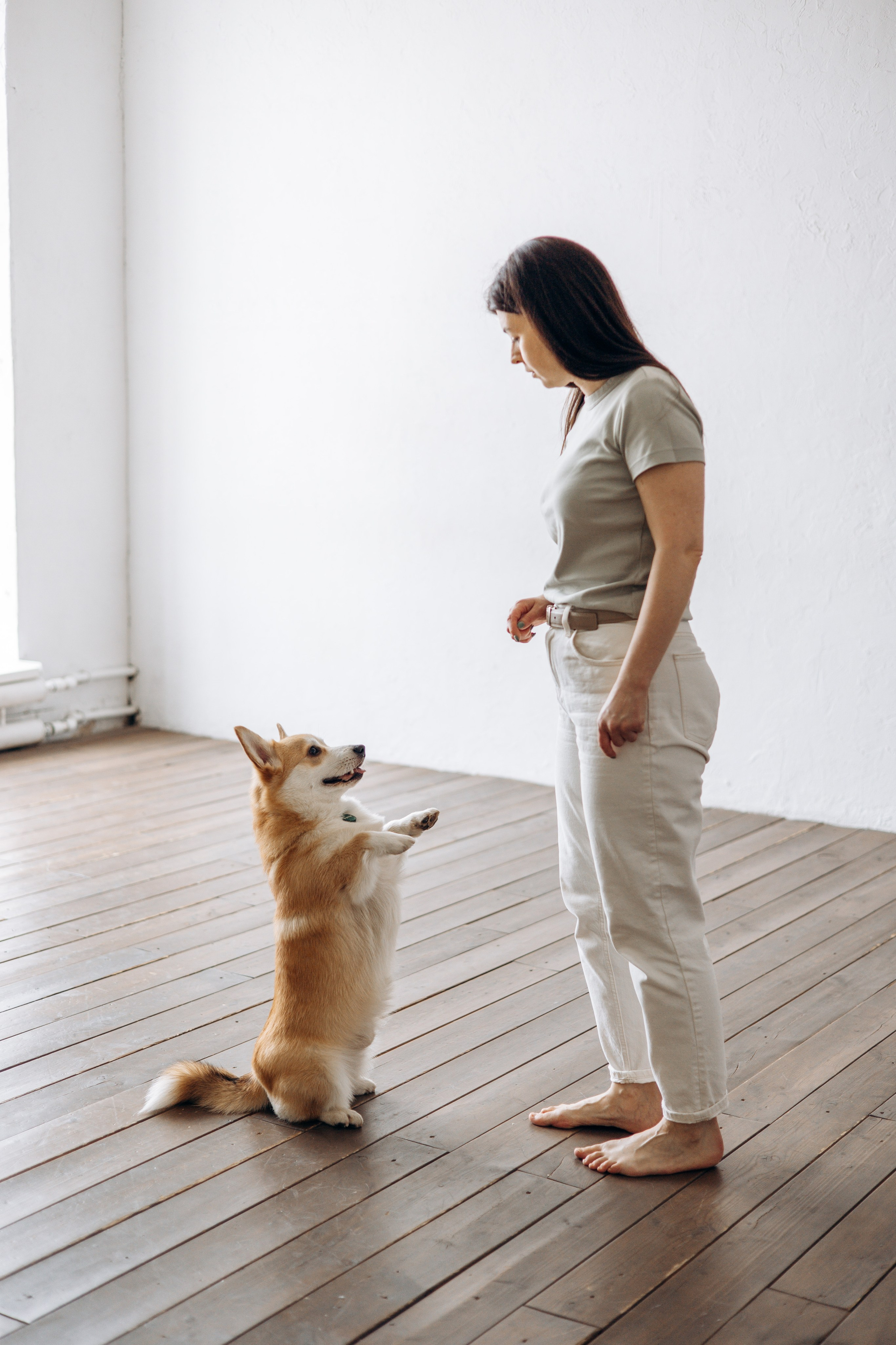 Ричи и его семья. Фотограф — Анималист | Санкт-Петербург