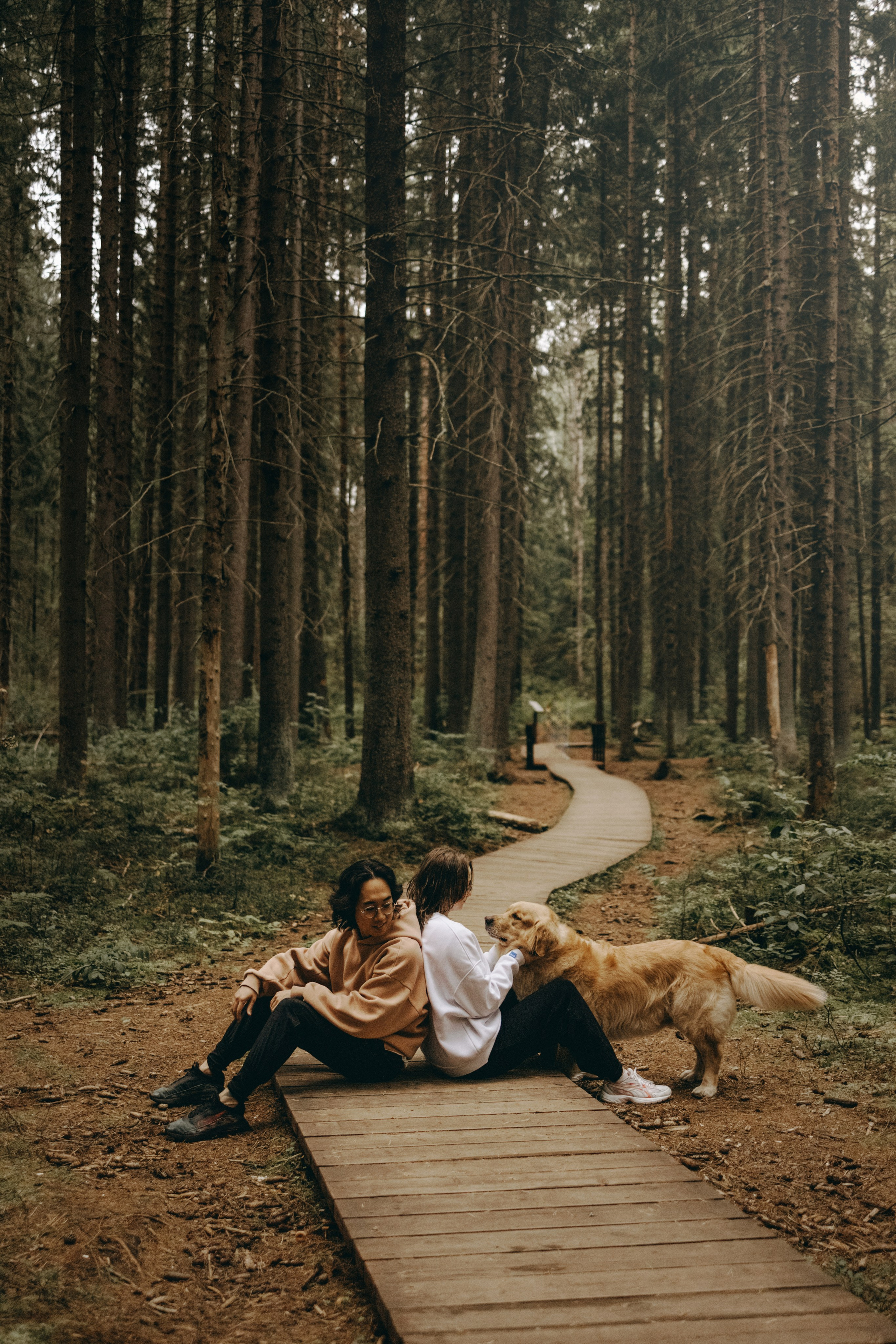 Фоси и его семьи. Фотограф — Анималист | Санкт-Петербург