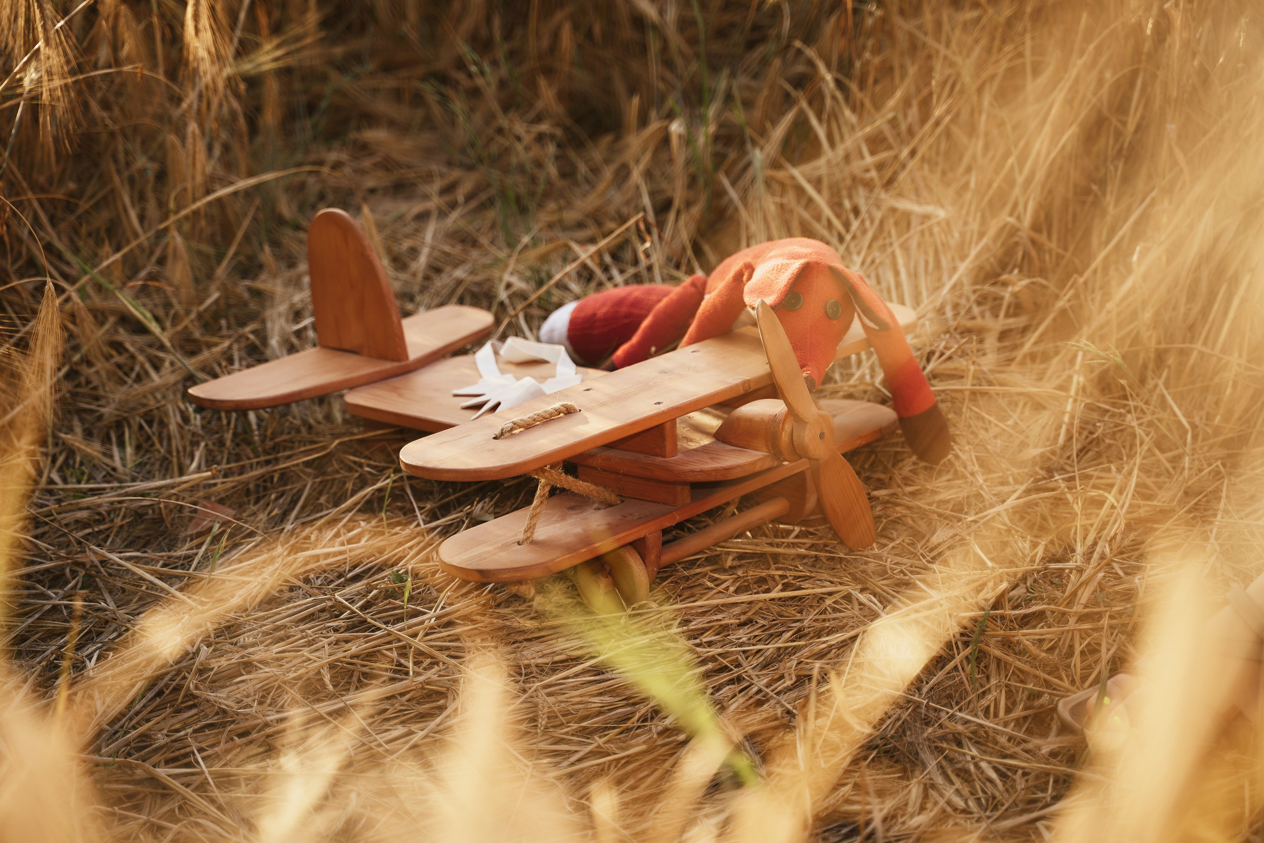 Маленький принц в поле. Петр Ступень. Свадебное, семейное фото и видео. Москва. Краснодар