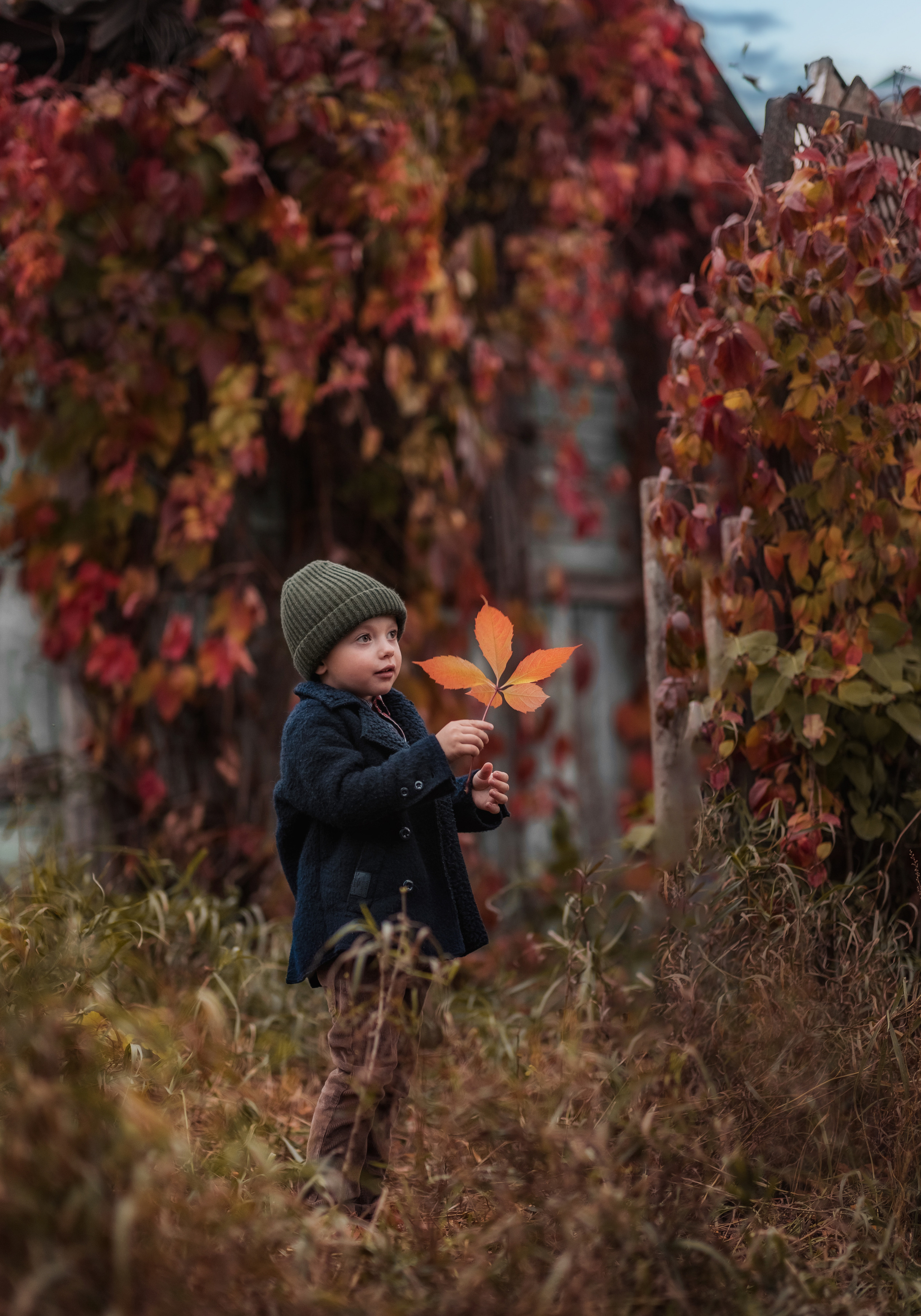 Октябрь: Савелий и Анна. Семейный и детский фотограф |Брянск| Анастасия Перепелкина