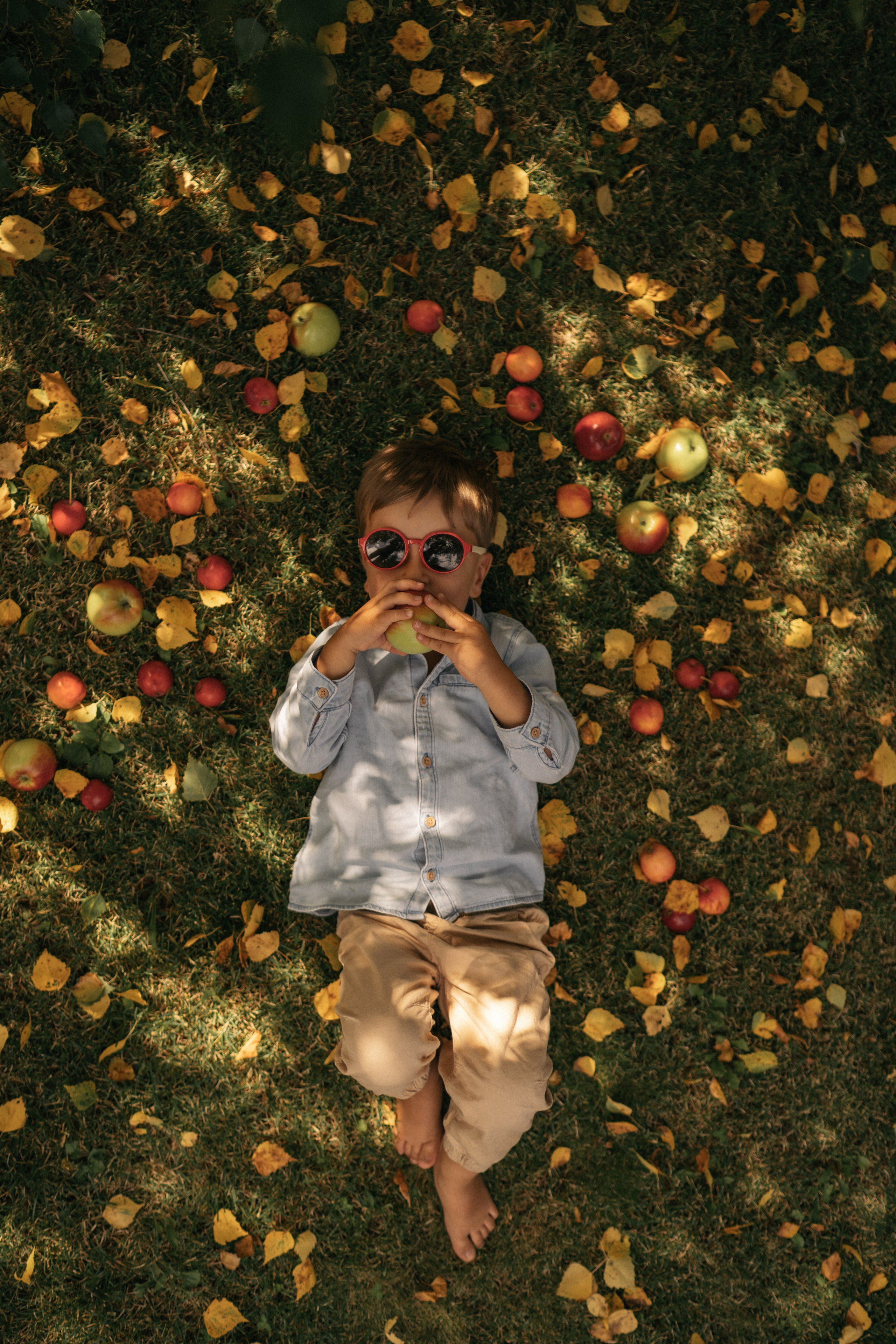 Яблочный Спас. Семейный и детский фотограф Москва Дарья Бугра
