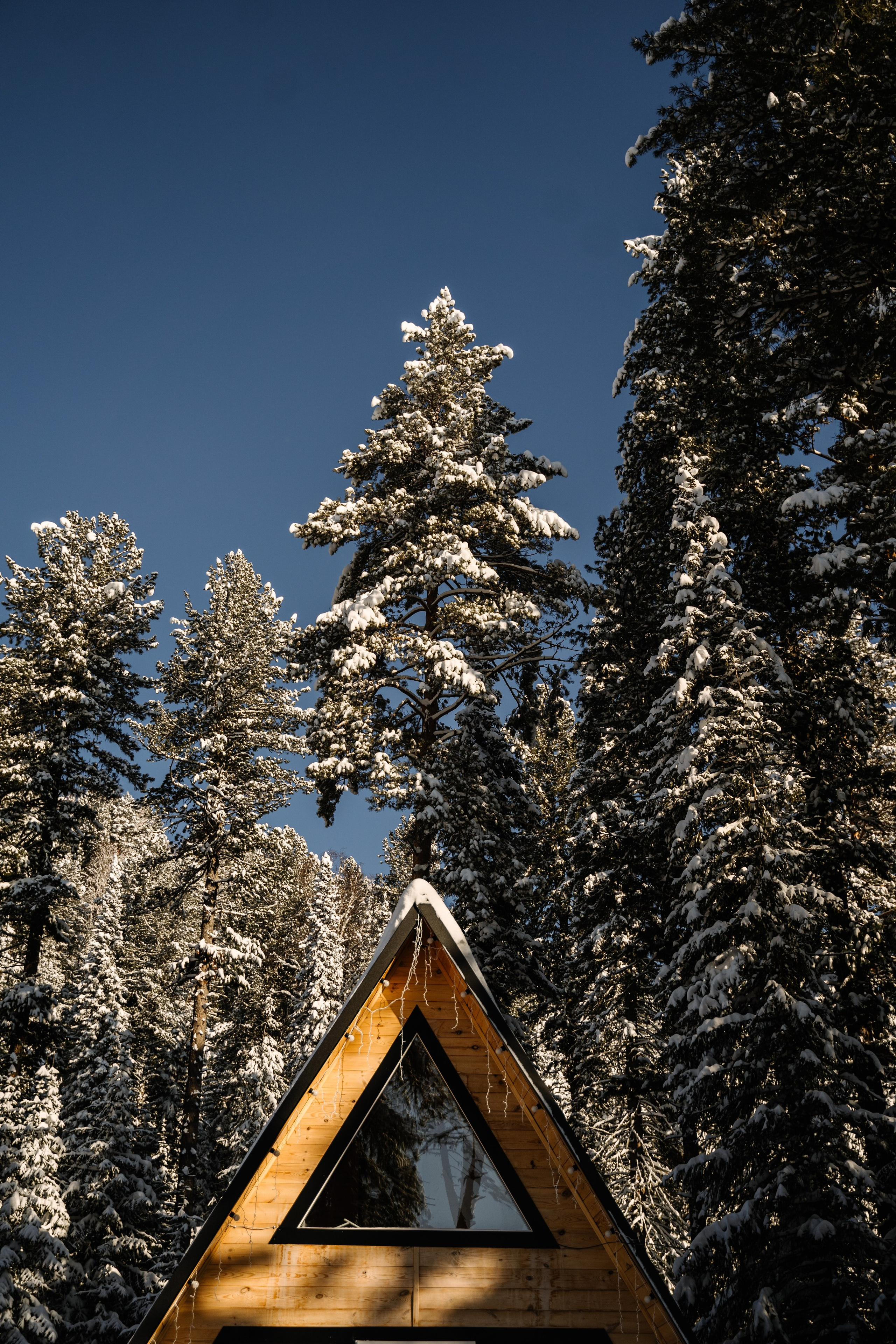 Отели. Фотограф Ольга Пучкова