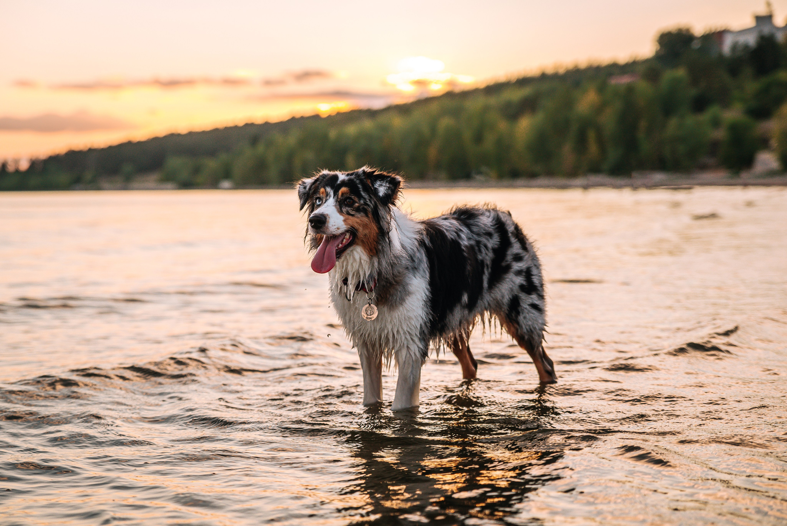 No Bad Days. Главная