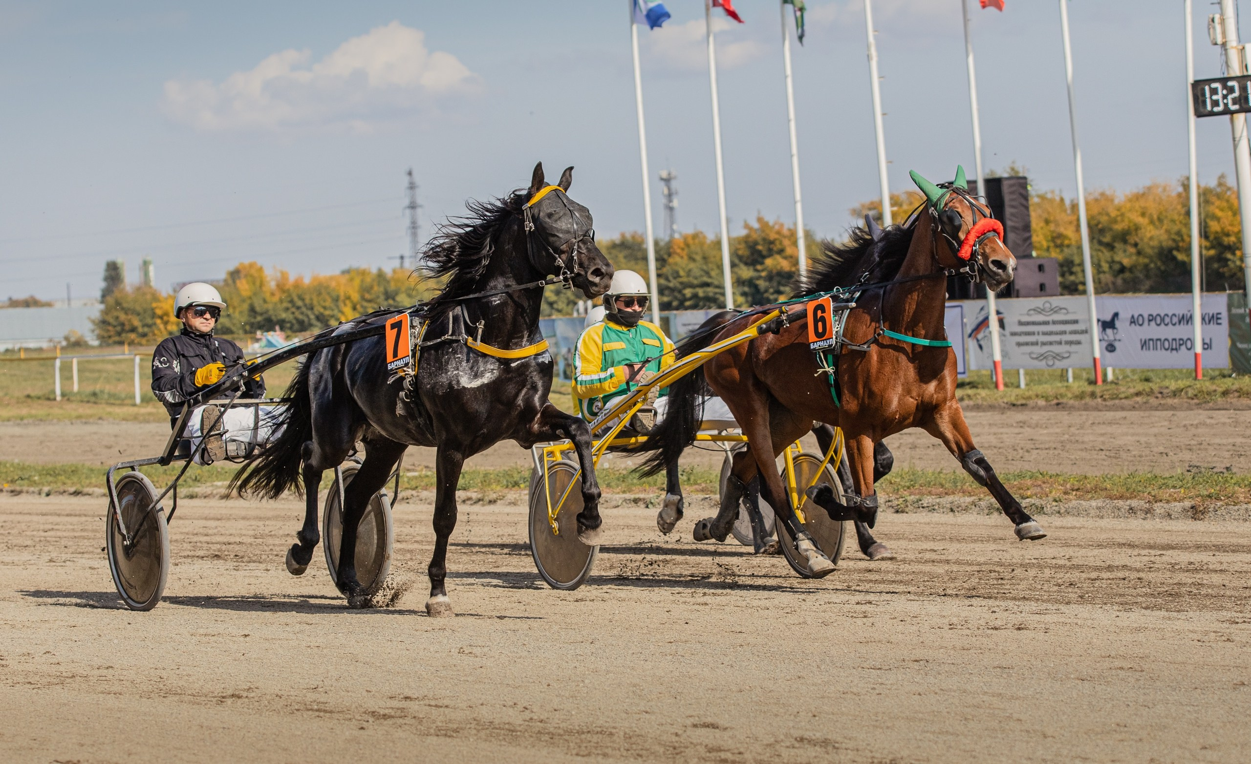Рысистые бега. Главная