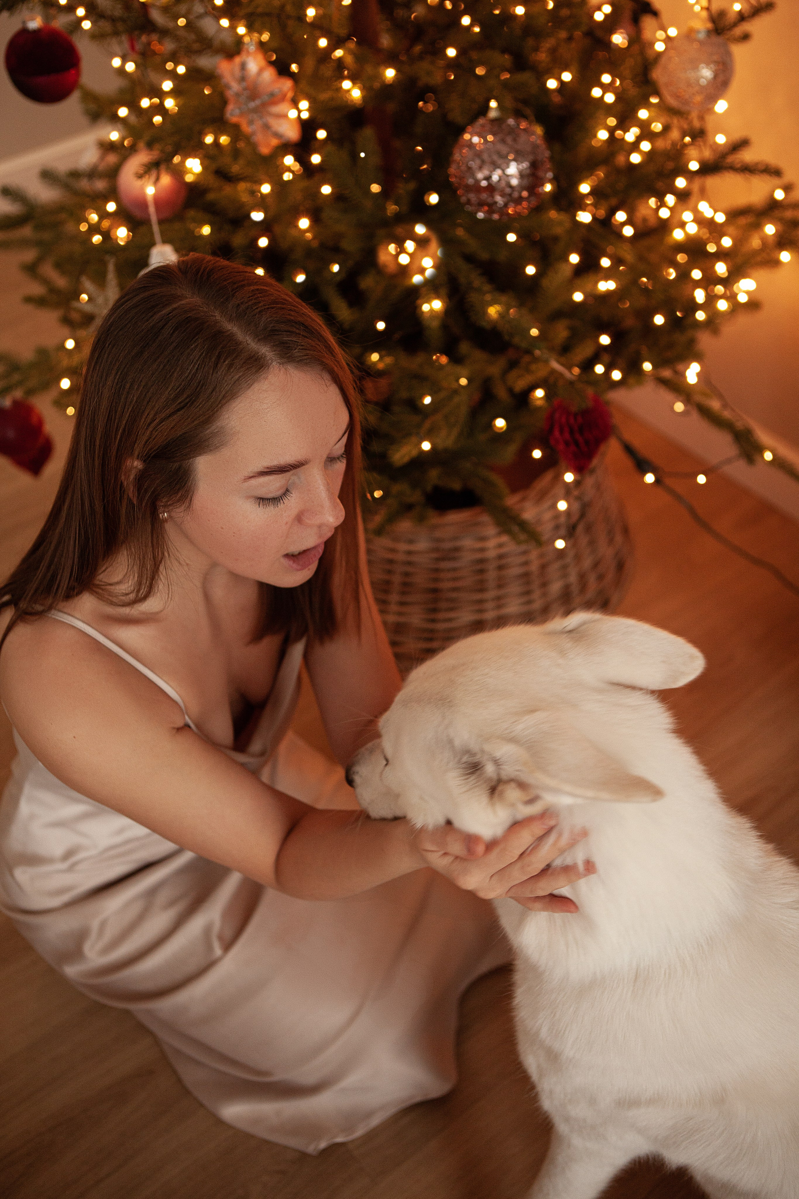 Татьяна & Зефирка. Свадебный фотограф в СПБ | Санкт-Петербурге Анастасия Рахимгулова