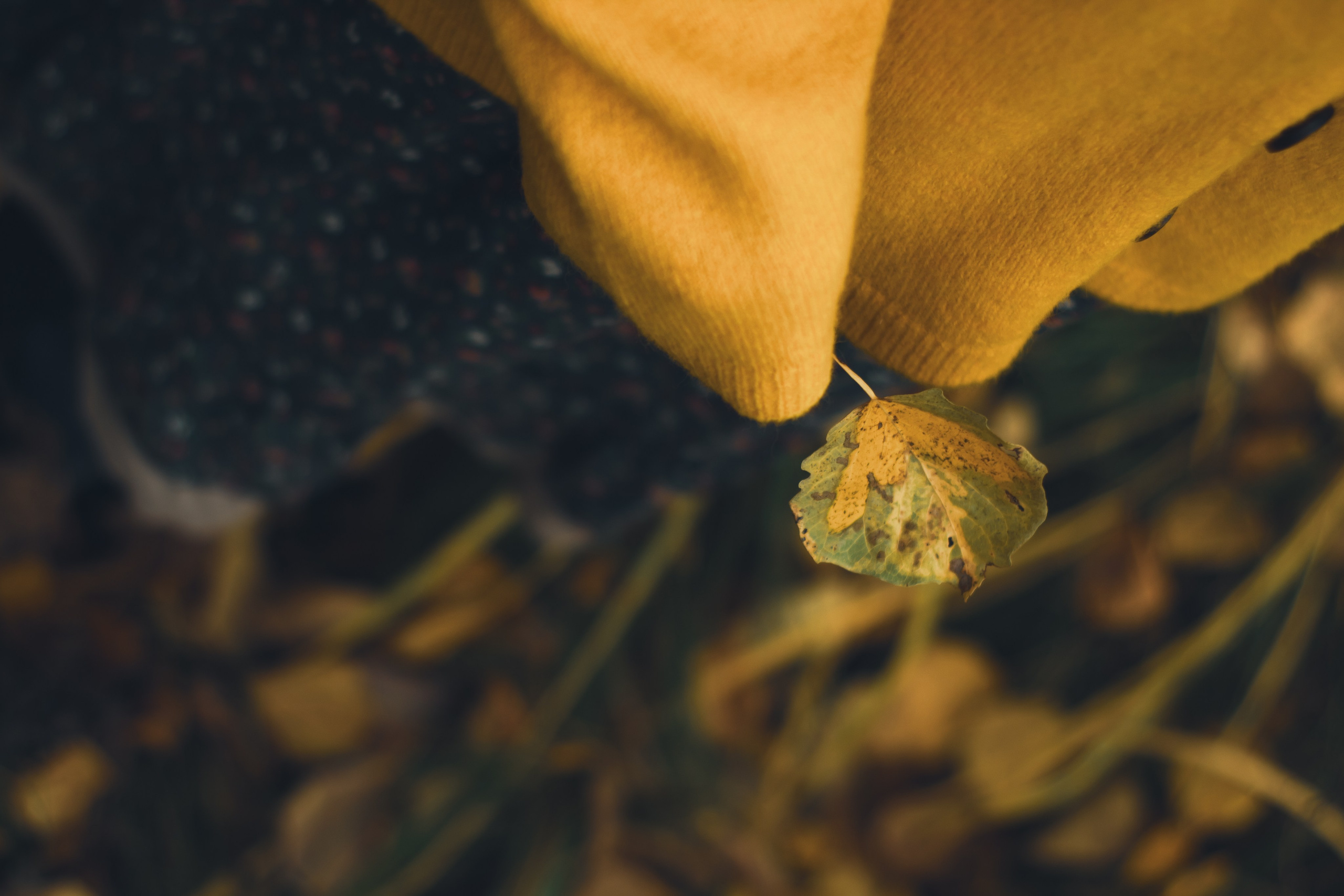 Chinese wall. Свадебный и семейный фотограф в Красноярске Леонид Максимов