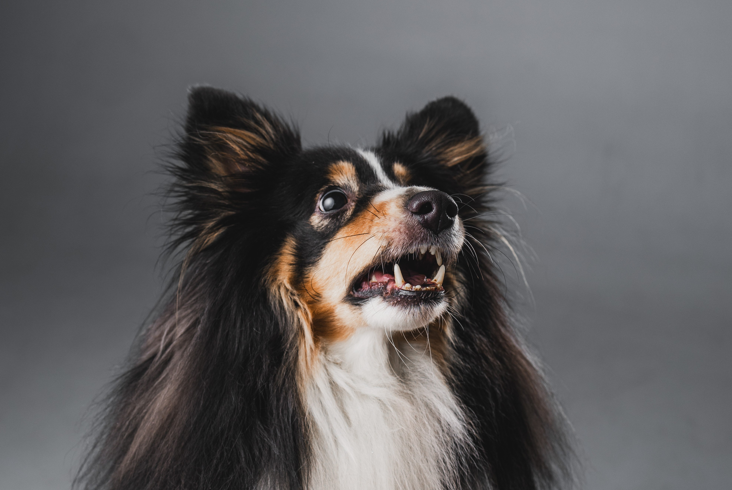 Воркшоп по импульсному свету