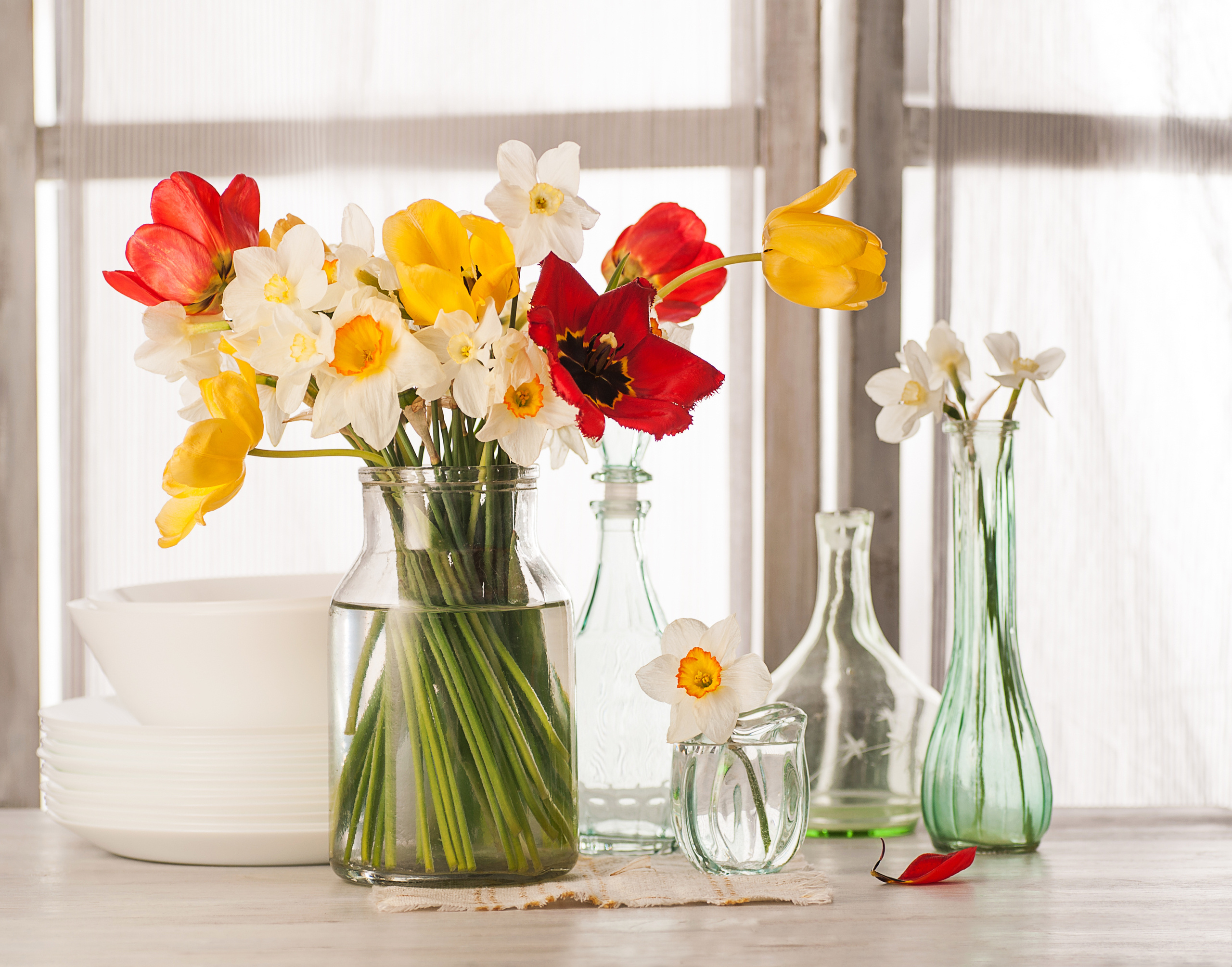 Натюрморт. Фотограф Елена Камынина