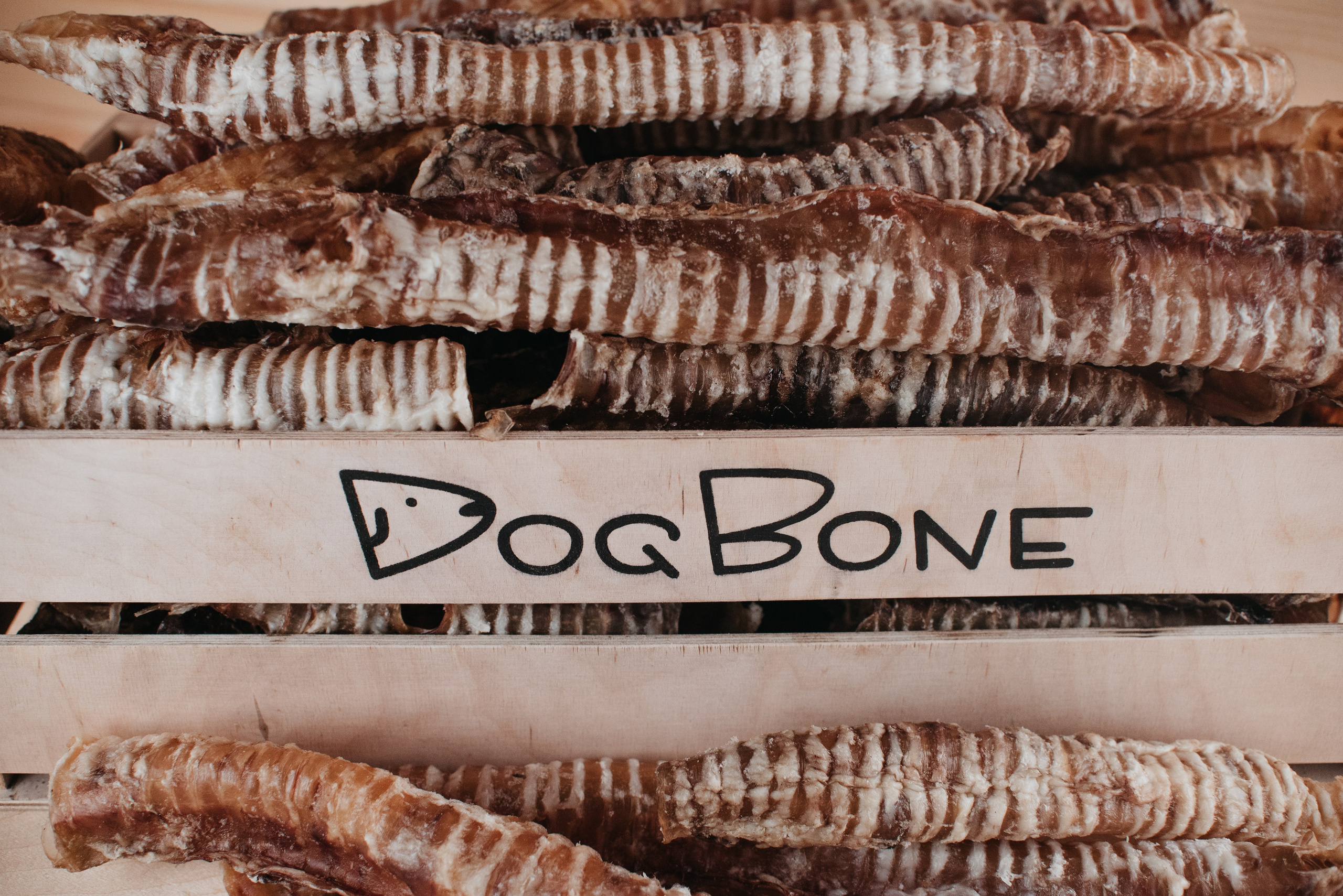 Dog Bone лакомства. Фотограф-анималист Валерия, Москва, Мытищи