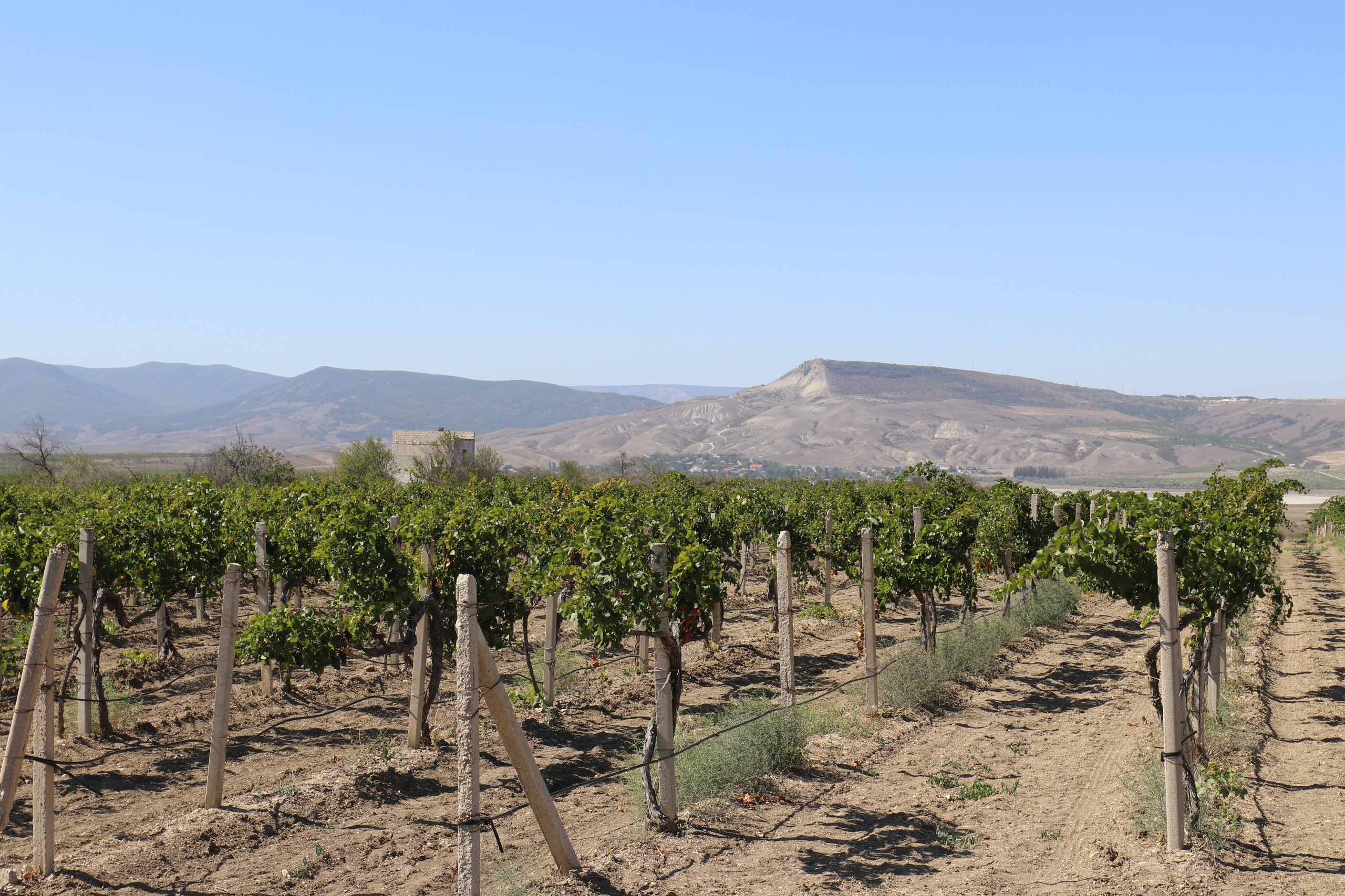 Крым. ЮБК (Судак, Карадаг, гора Клементьева, Меганом, Ильяс-Кая). Сентябрь 2020. Путешественник-фотограф из Санкт-Петербурга Татьяна Свистулина