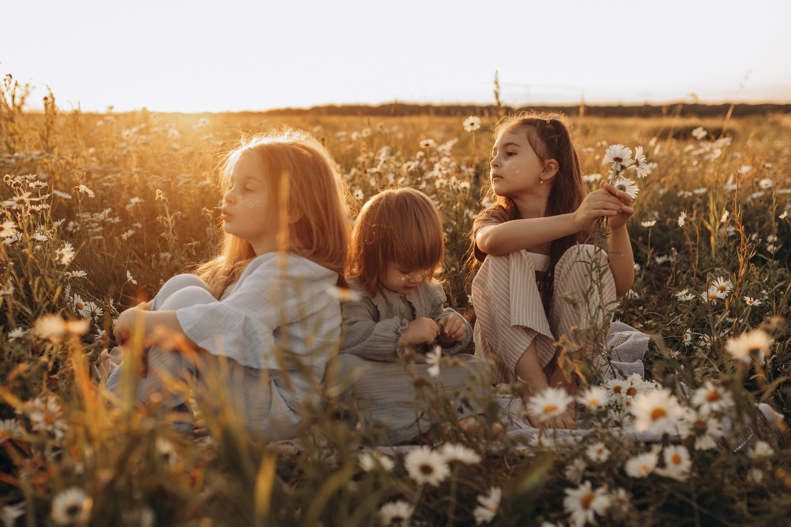 Закат на ромашковом поле. Фотограф в Ставрополе Svetlana Matveeva