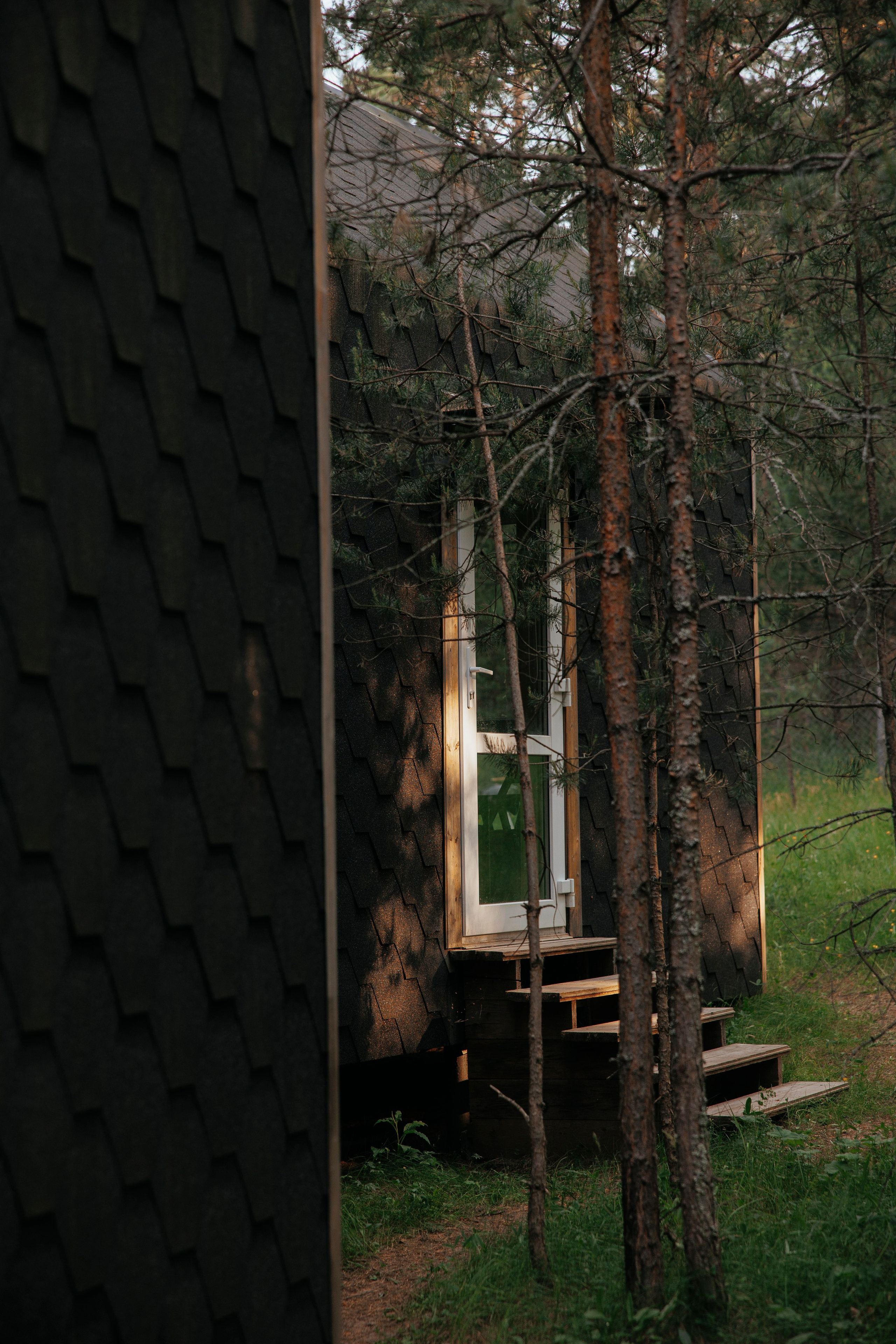 Съемка с собакой. Анастасия Белаш