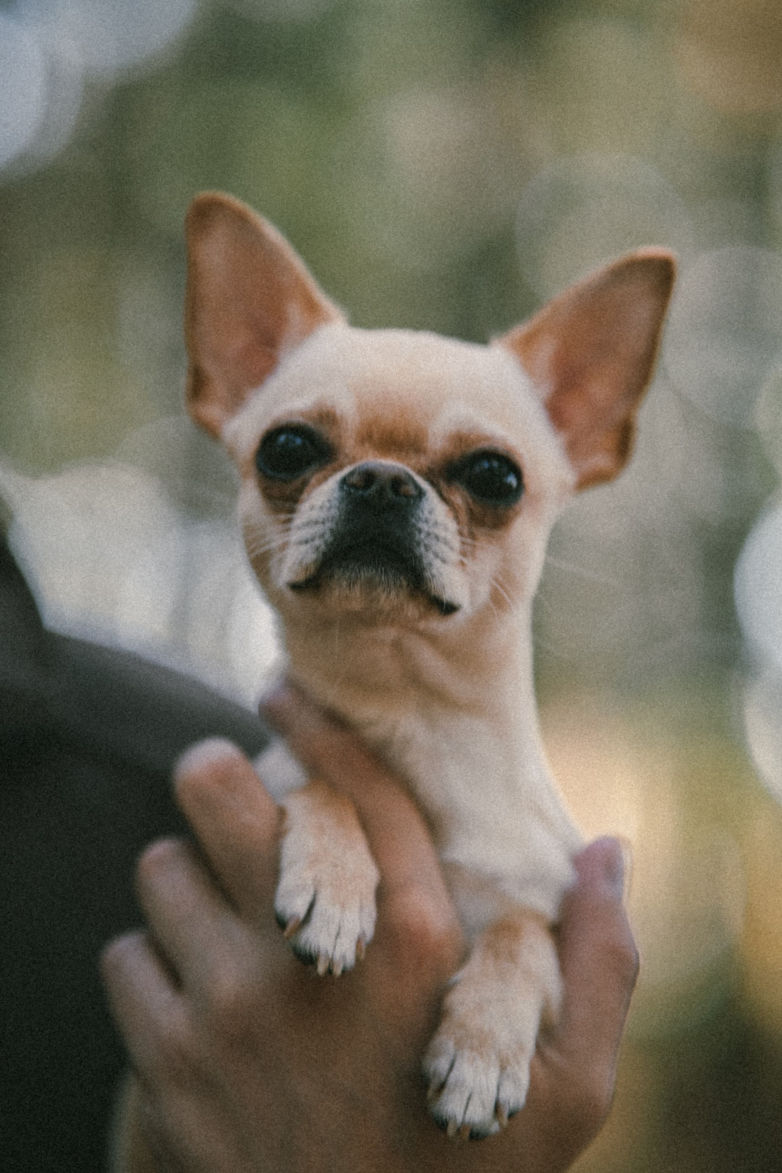 Бари и его люди. Фотограф в Хабаровске — Виолетта Агафонова