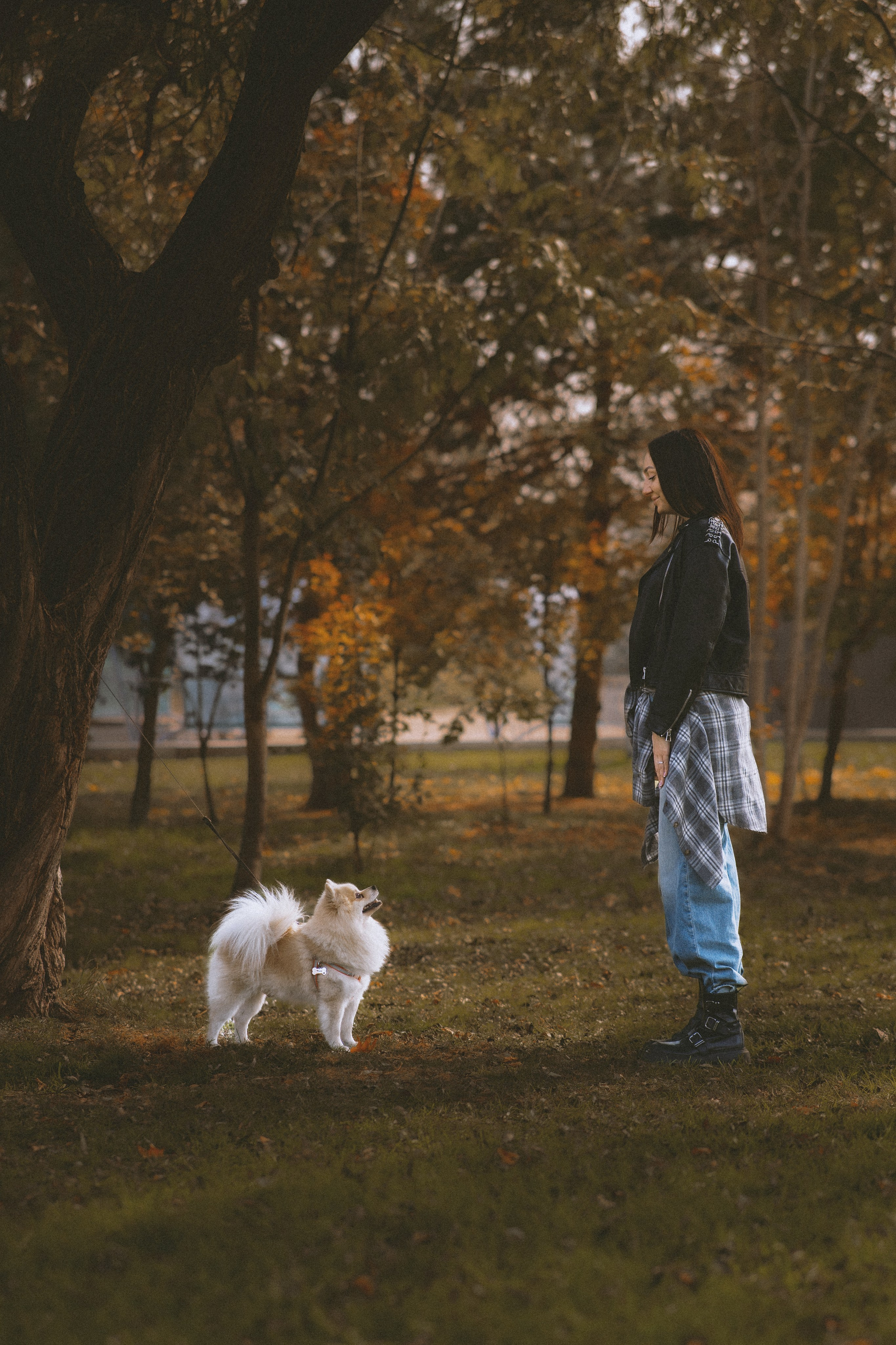 Дарья и ее шпиц Роня. Фотограф в Хабаровске — Виолетта Агафонова