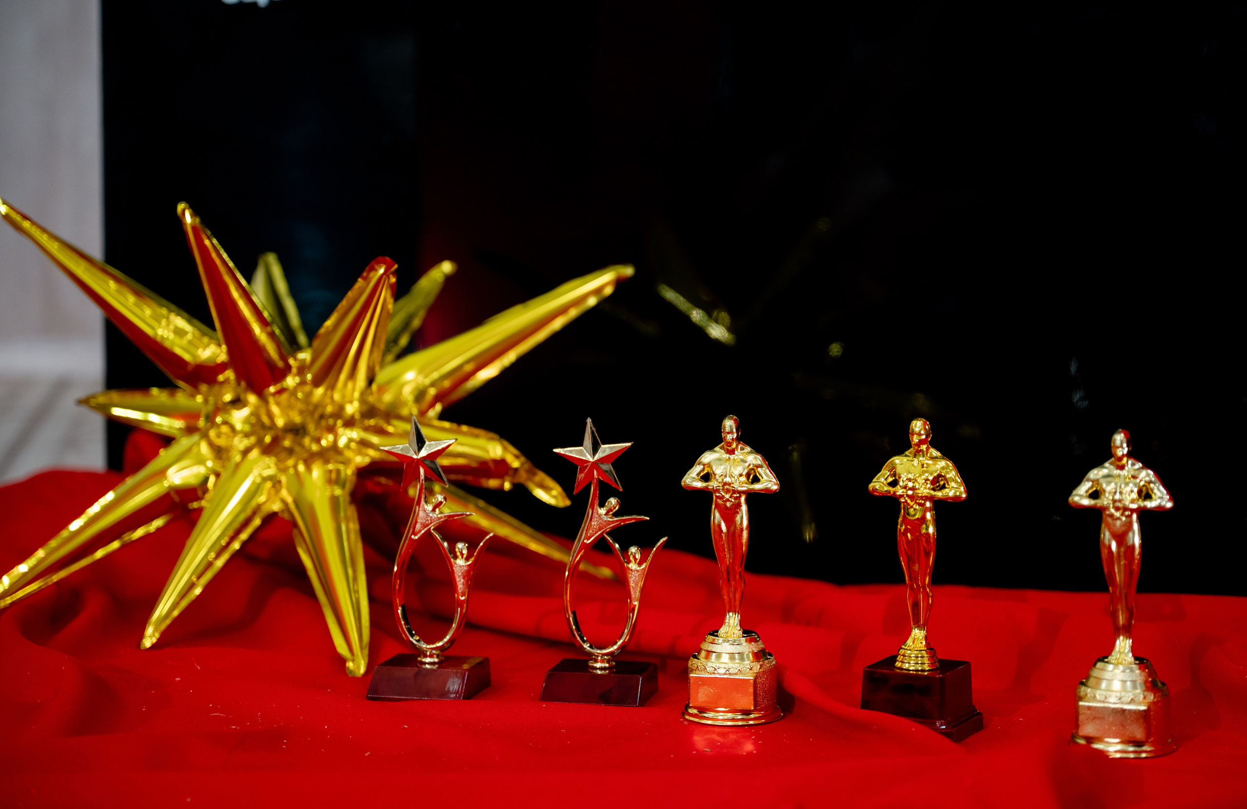 Юбилей 50/50. Свадебный и портретный фотограф