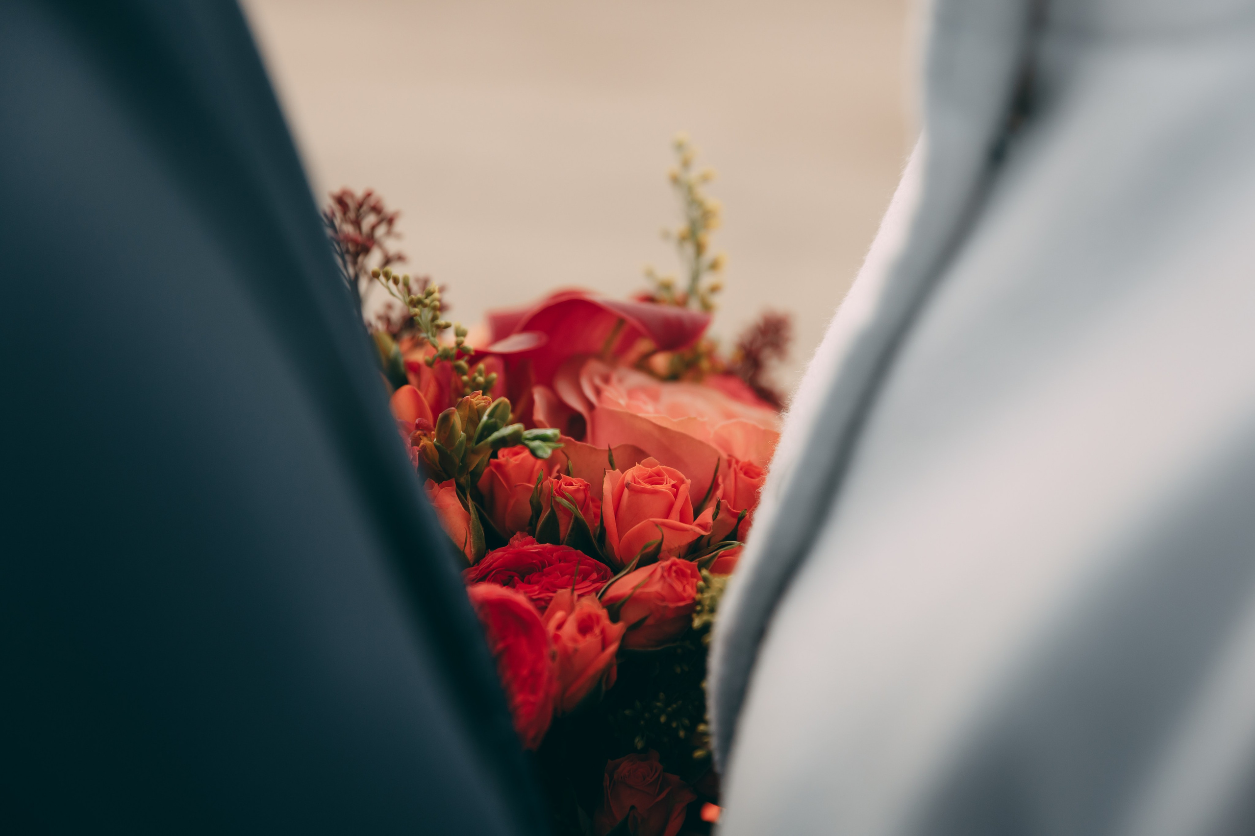 Женя и Ира, Олд Милл + ЗАГС Приморского района. Семейный фотограф в Санкт-Петербурге Алиса Мохова