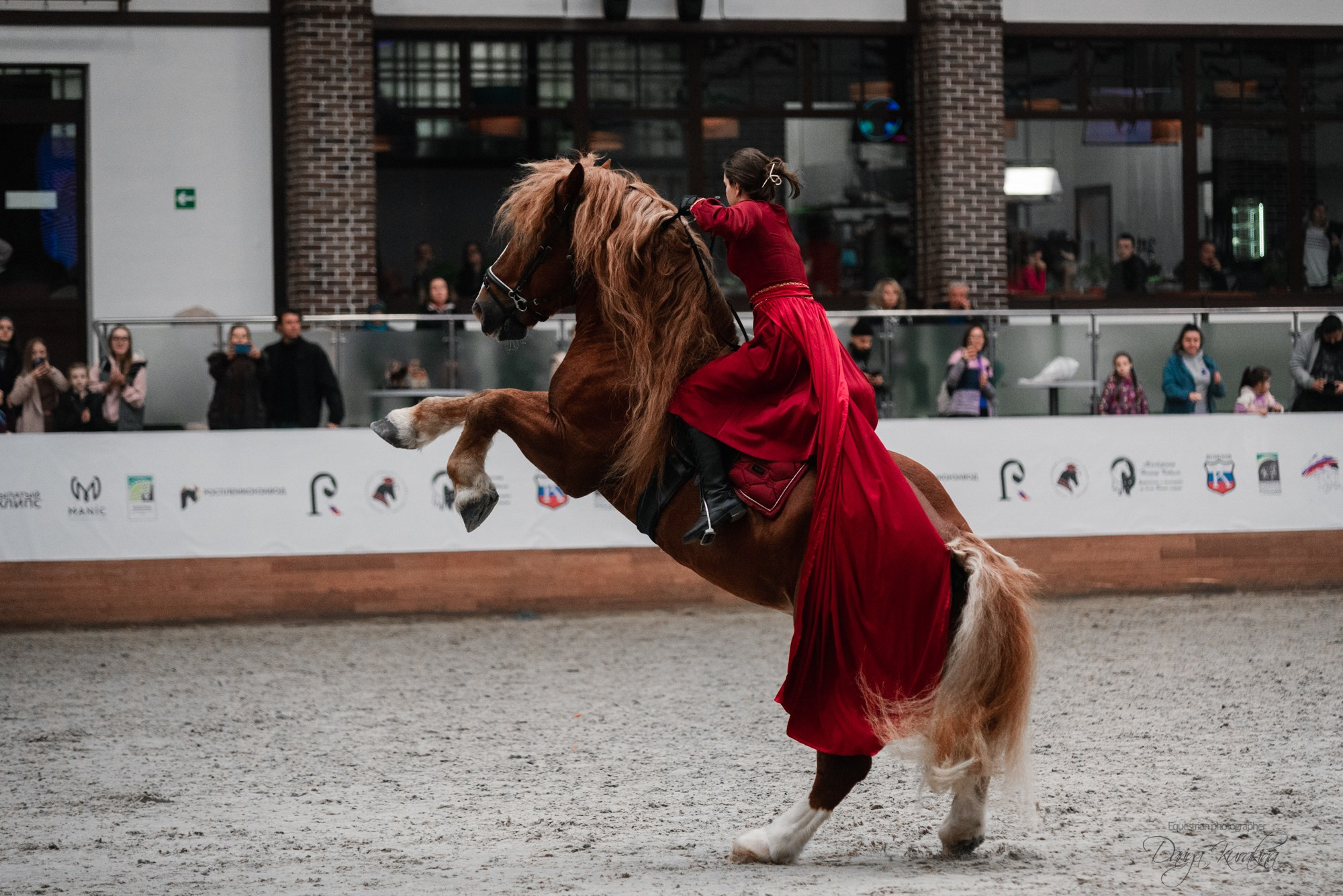 8-я международная выставка Конная Россия. Конный фотограф Куракина Дарья • Фотосессии с лошадьми