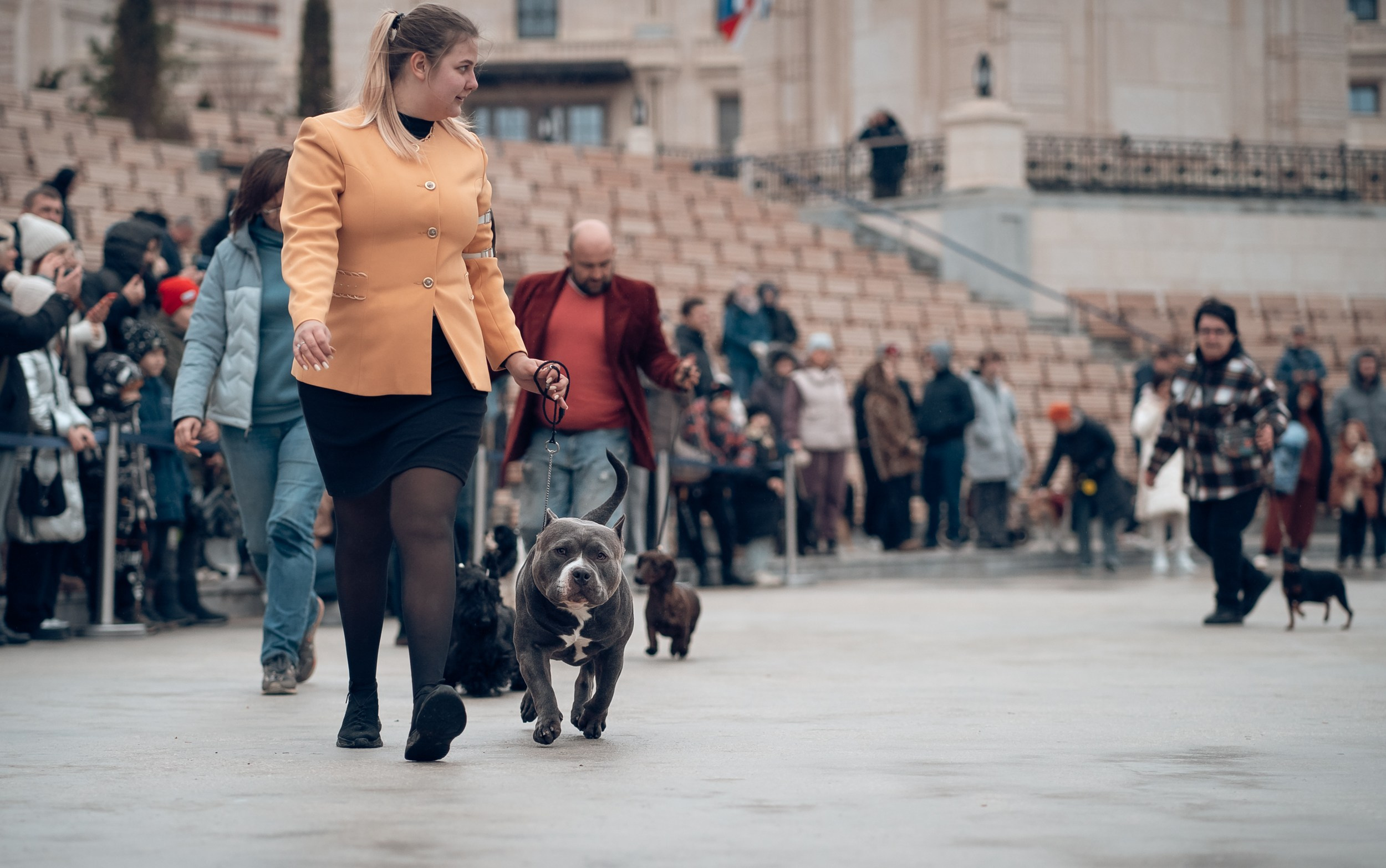 Благотворительная выставка собак в Новом Херсонесе г. Севастополь. Церковный фотограф Севастополь