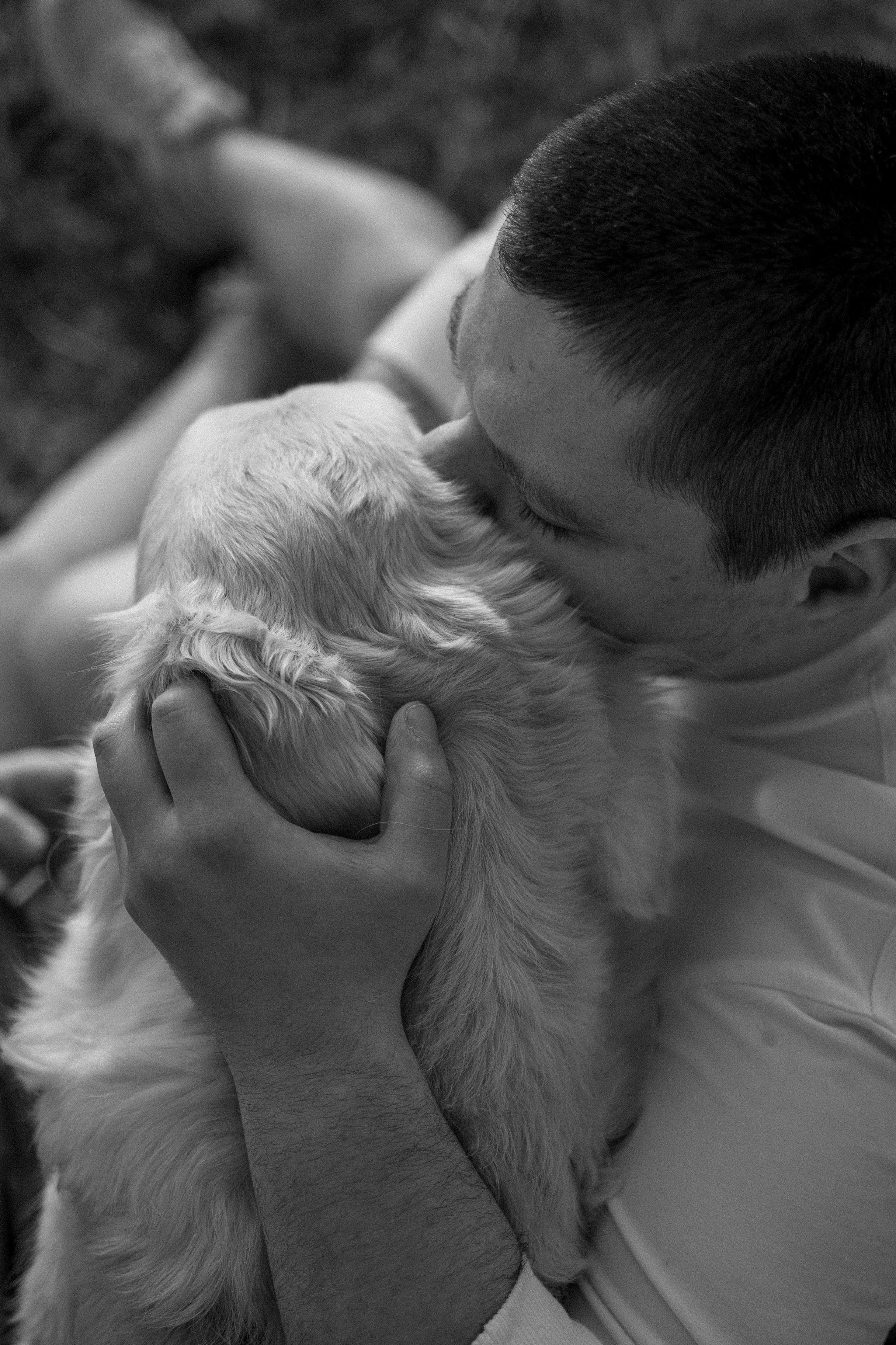 Милка и ребята. Фотограф — Анималист | Санкт-Петербург