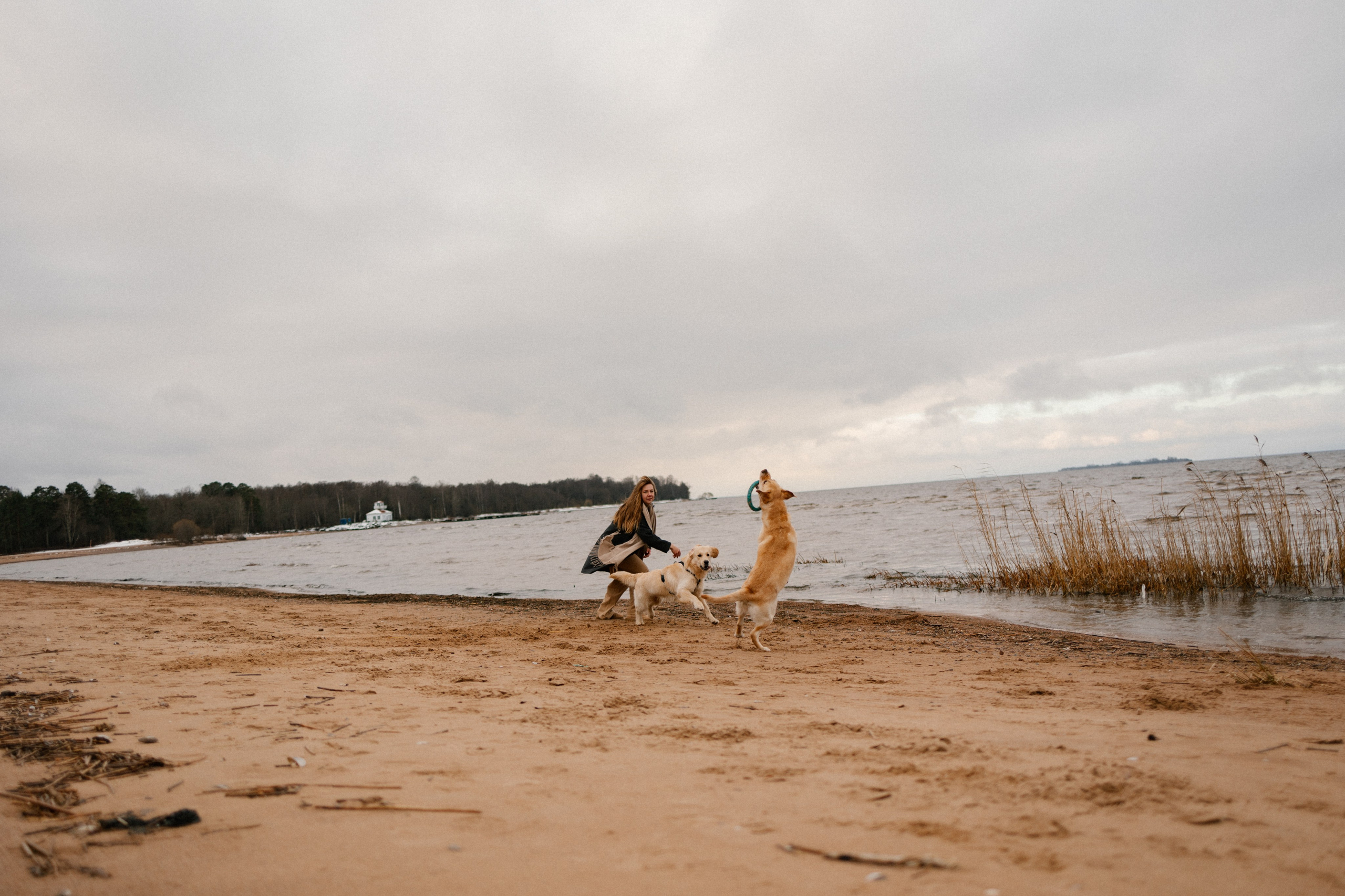 Ирина и Бася. Фотограф — Анималист | Санкт-Петербург