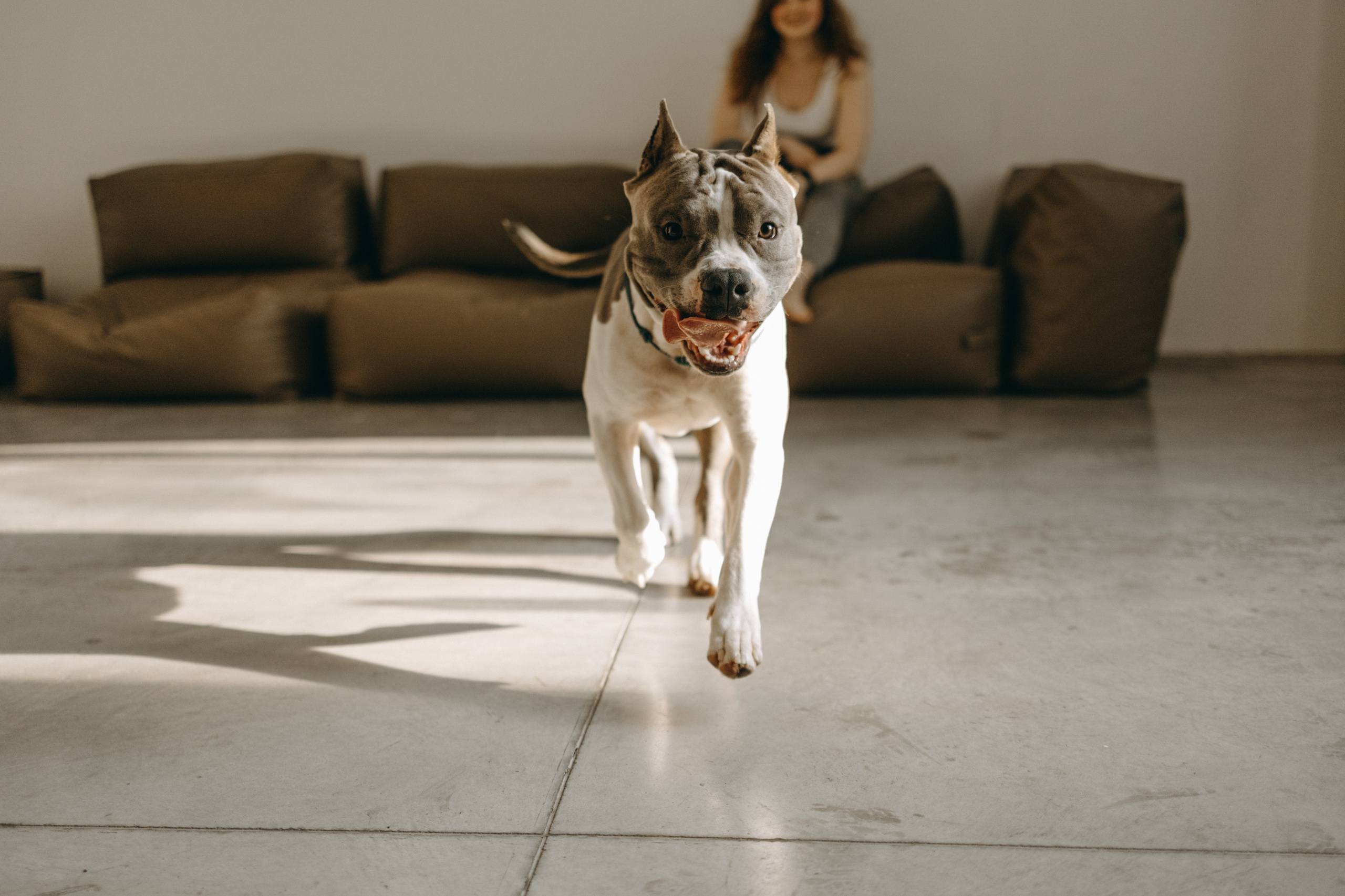 Саша и Кракен. Фотограф — Анималист | Санкт-Петербург