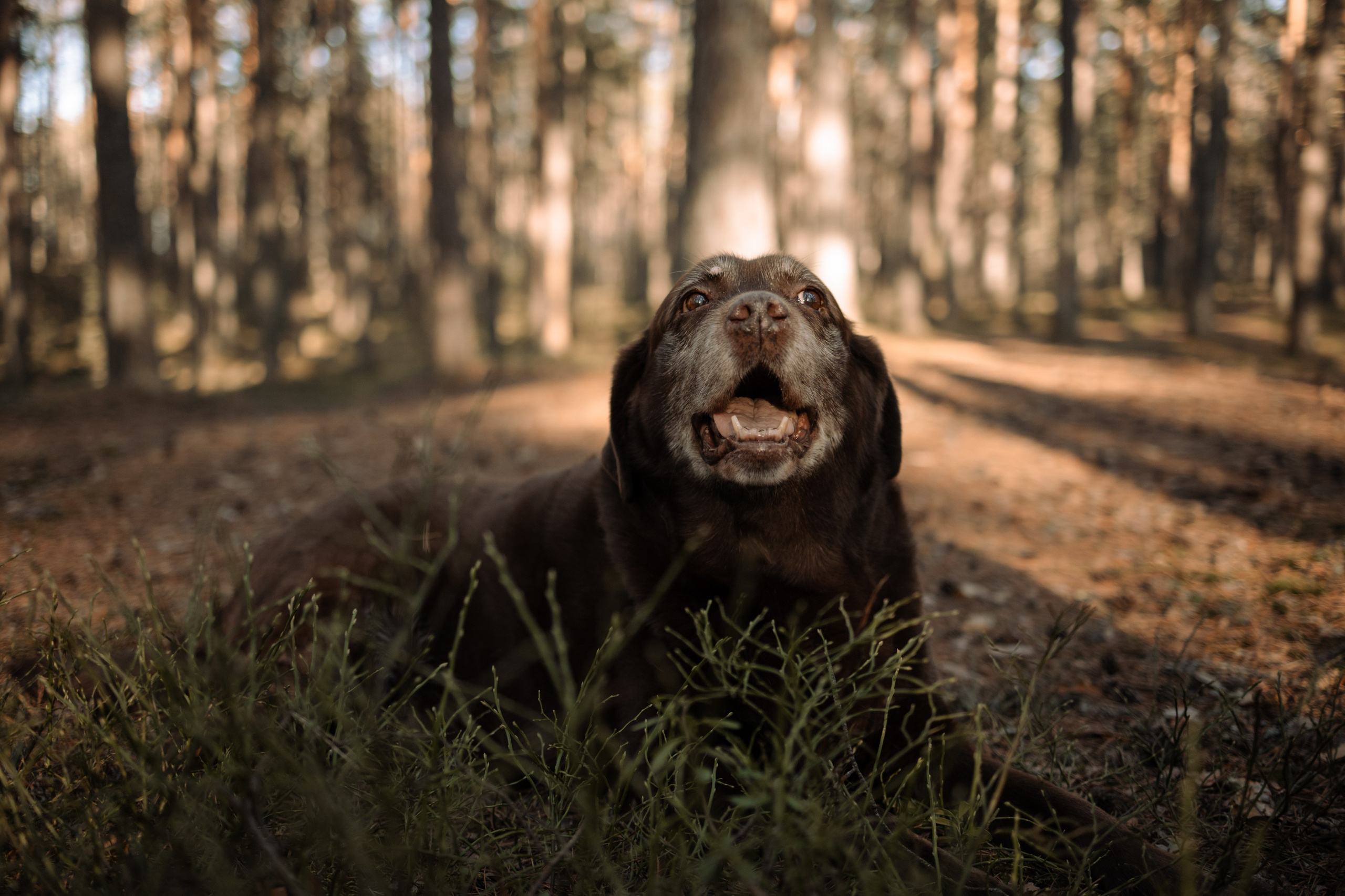 Оля и Питоня. Фотограф — Анималист | Санкт-Петербург
