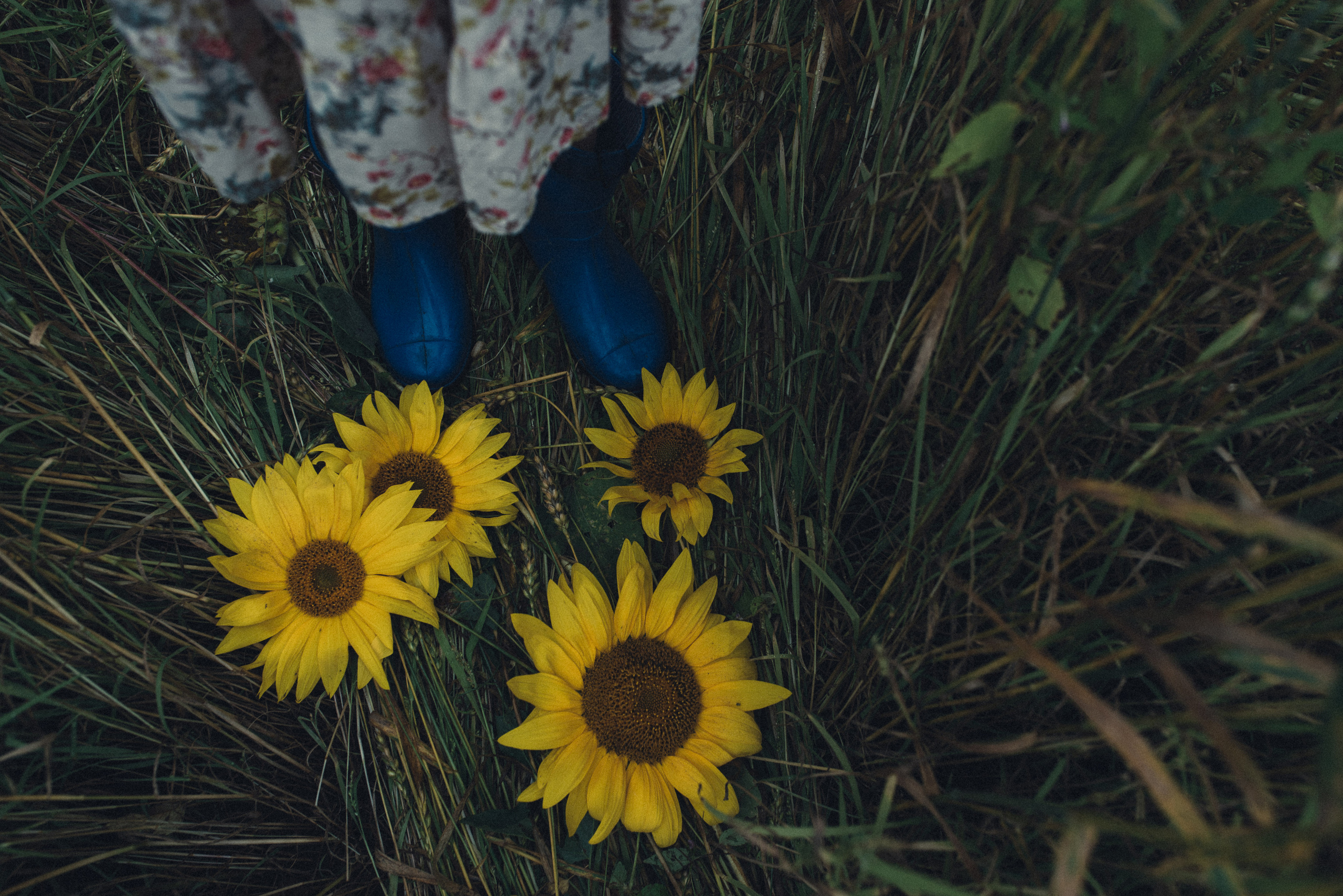 ДЕТИ. Zlotinafoto