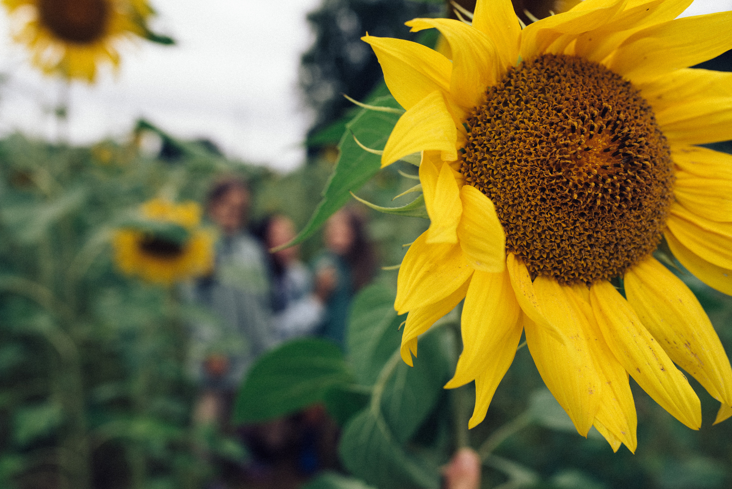 ДЕТИ. Zlotinafoto