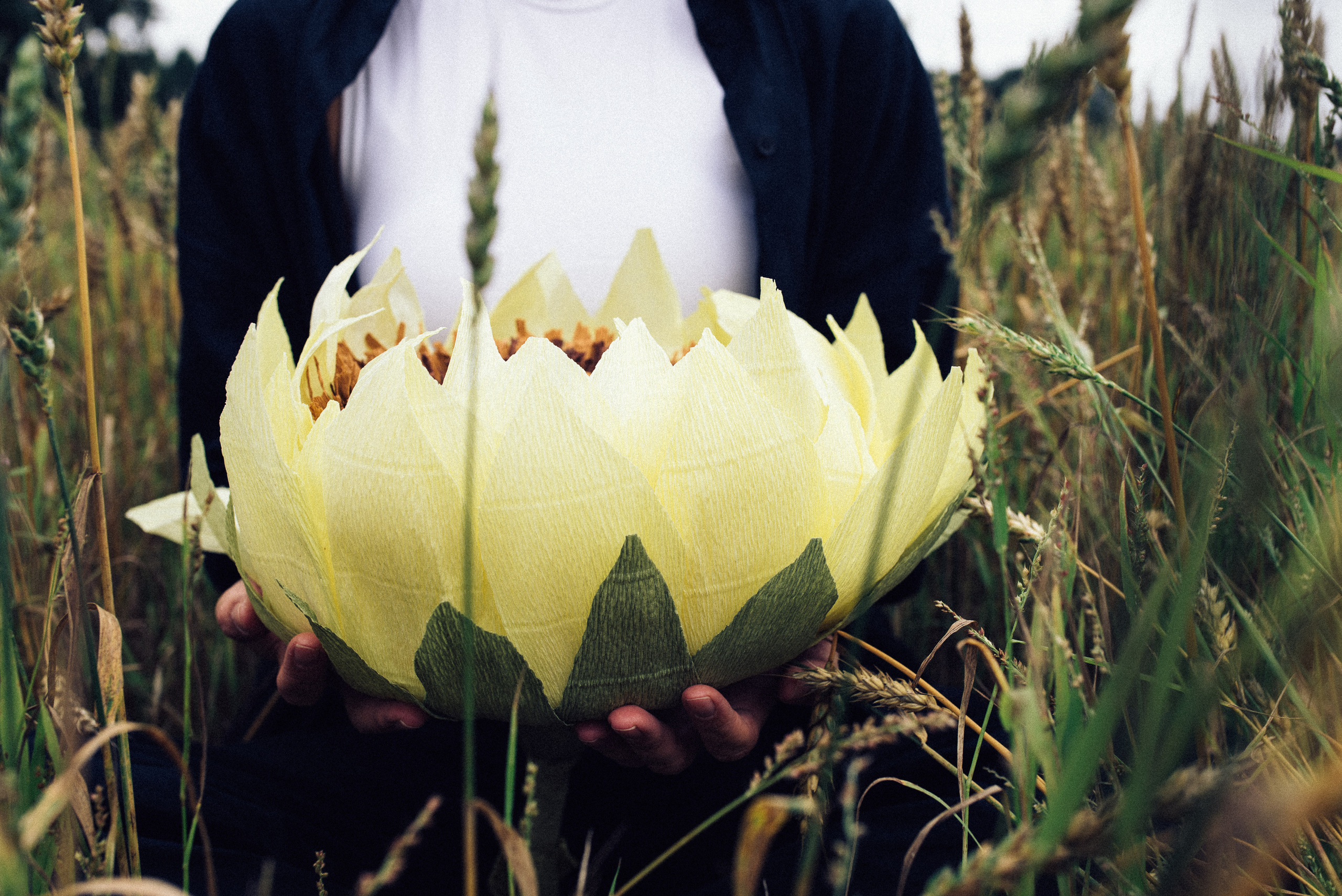новосибирск черно белые фото, портреты новосибирск, портреты +по фотографии новосибирск, портрет +на холсте новосибирск, портрет +по фото новосибирск, портреты новосибирск цены, заказать портрет +в новосибирске, портрет +по фотографии +на холсте новосибирск, портрет +по фотографии новосибирск цена, портреты +на заказ новосибирск