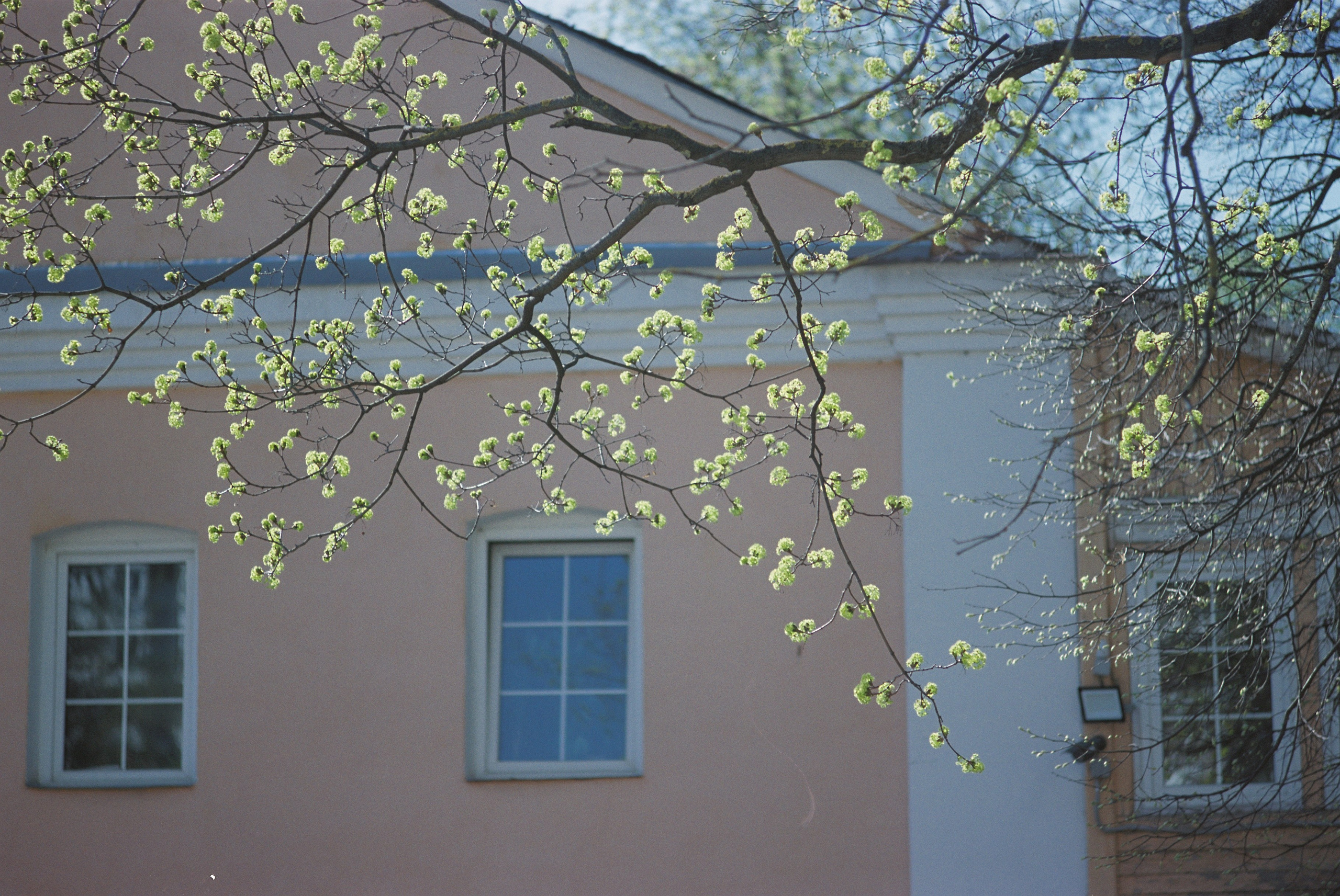 Плёнки. Кира Кечекьян — фотограф в Москве