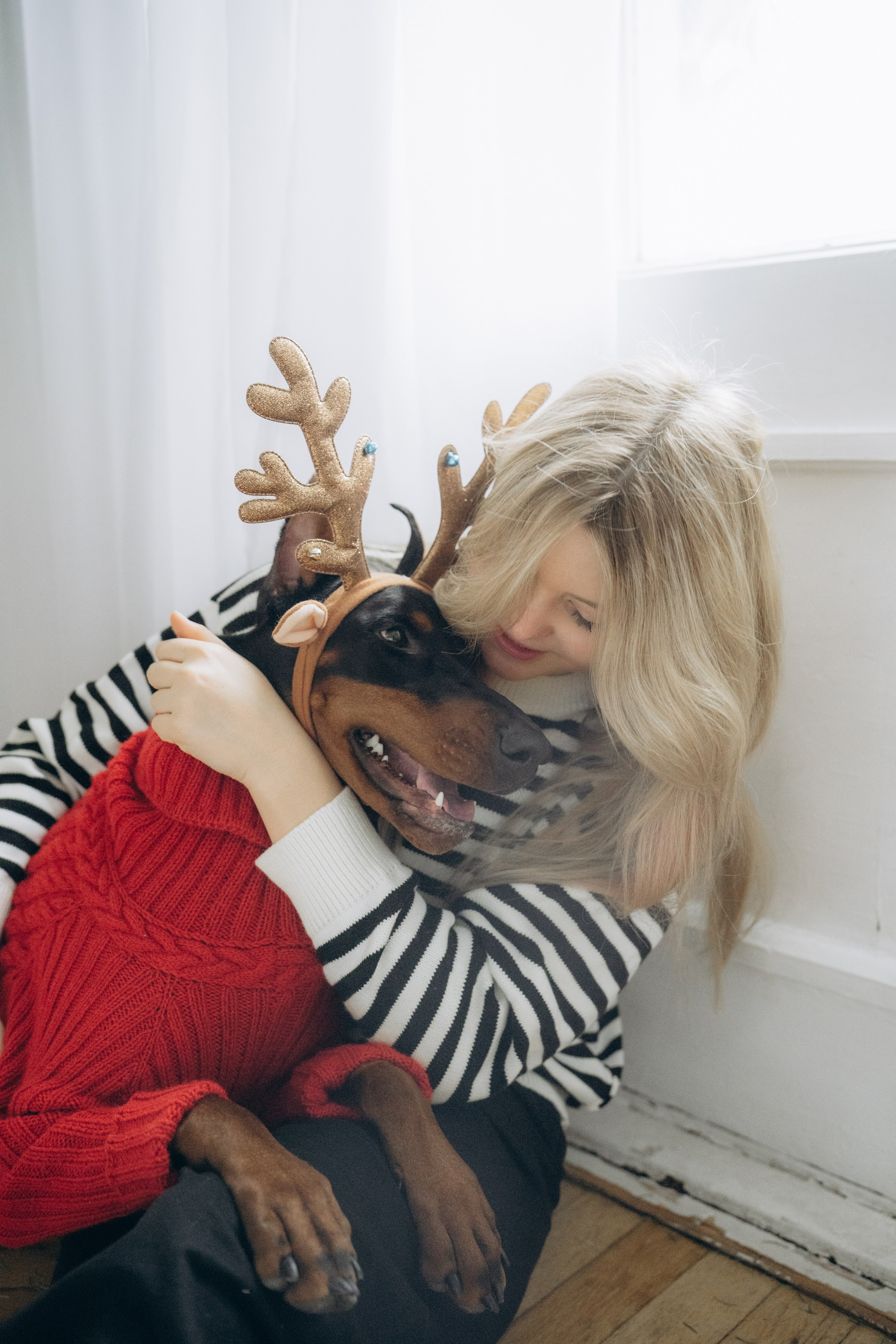 Саша и Асти. Фотограф анималист в Москве и Санкт-Петербурге Свиридова Анна