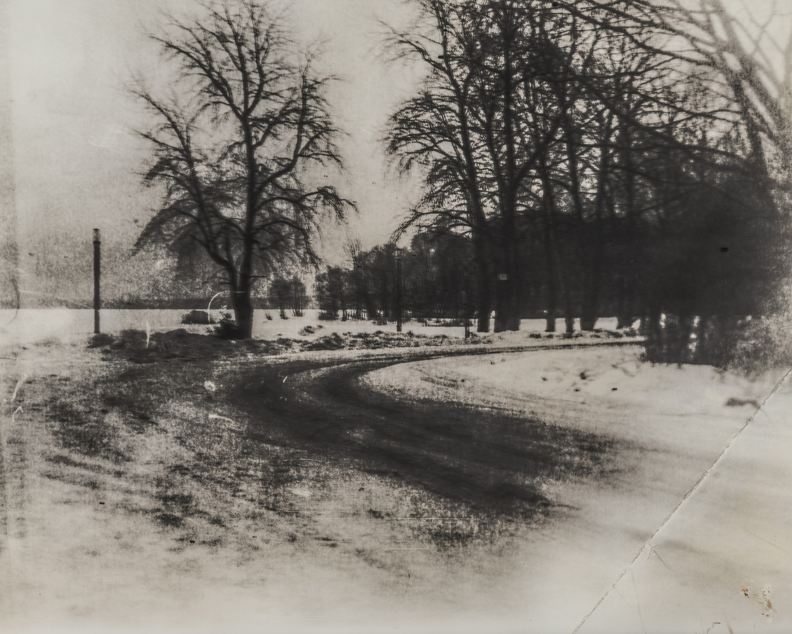 Lith prints. Darkroom aesthetics